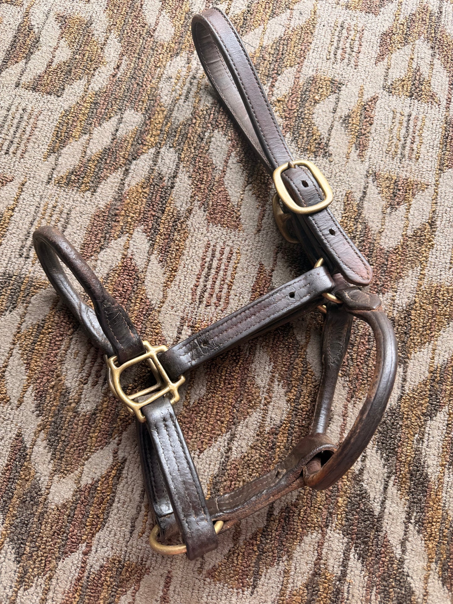 Leather Halter w/ Rolled Noseband