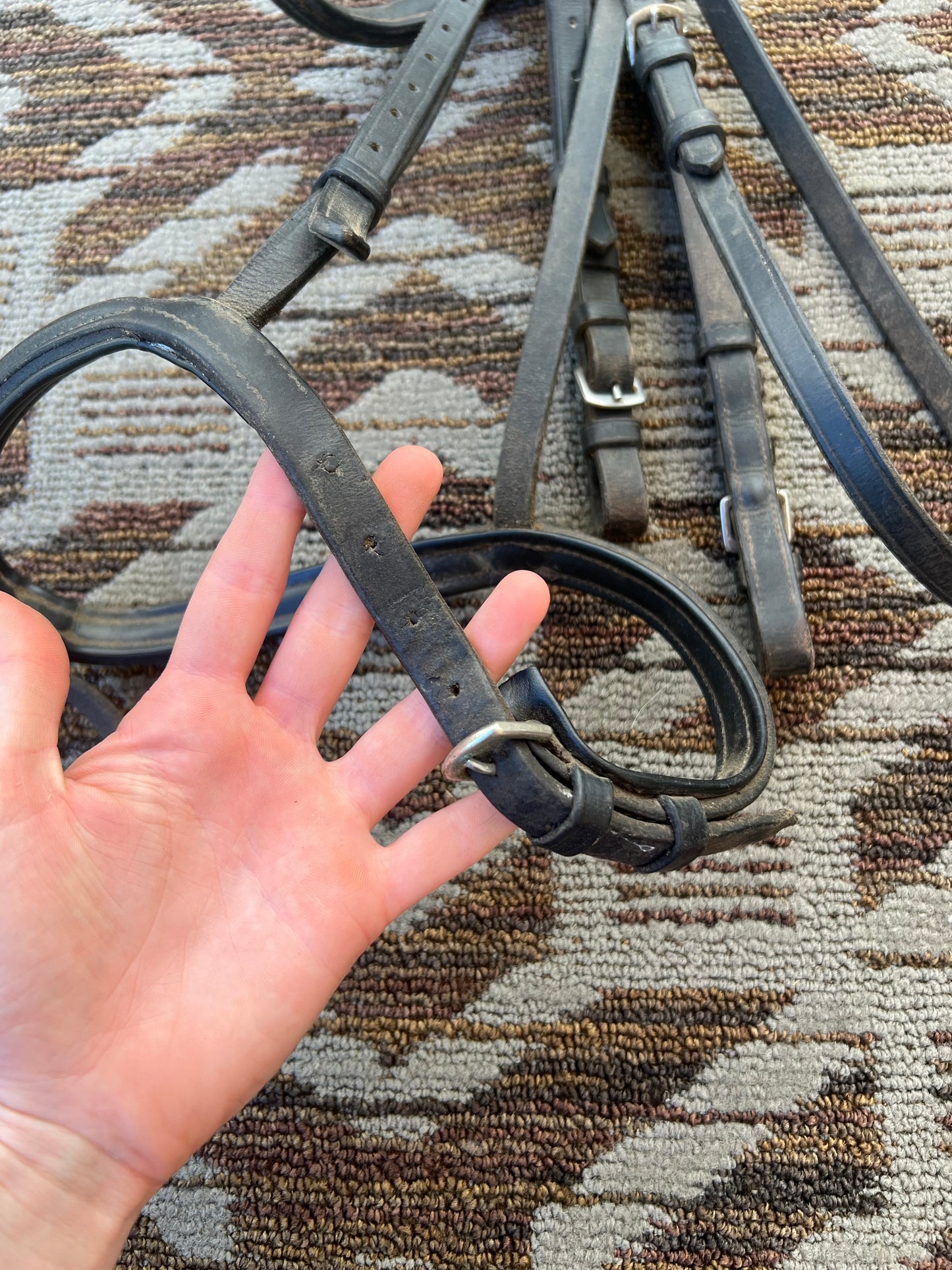 Black Dressage Bridle