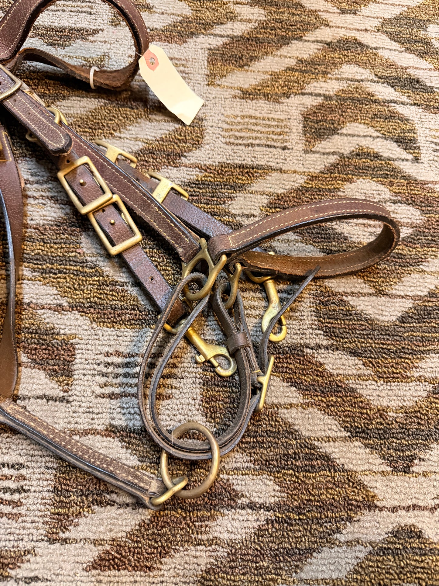 Leather Halter Bridle