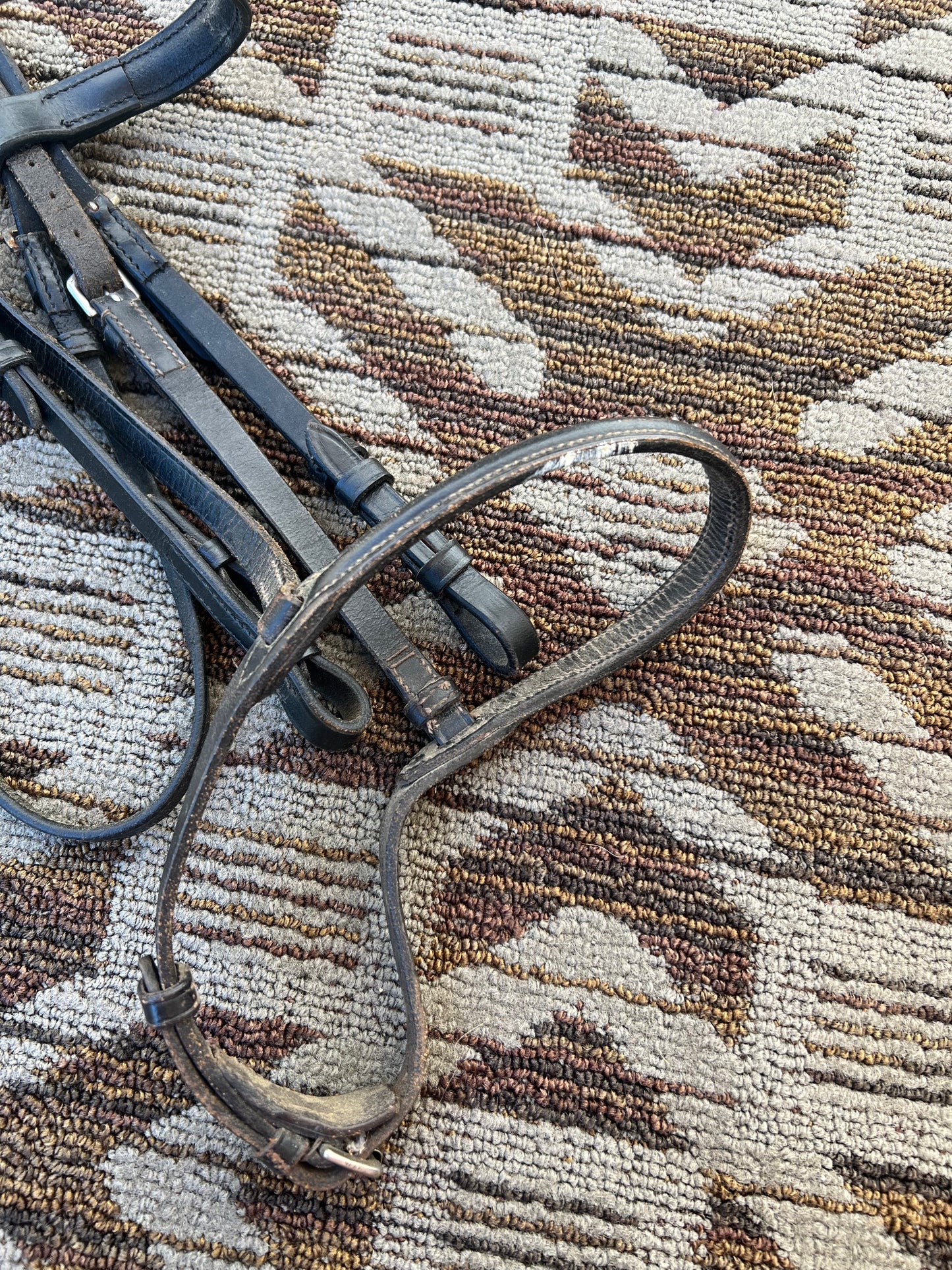Black Bridle