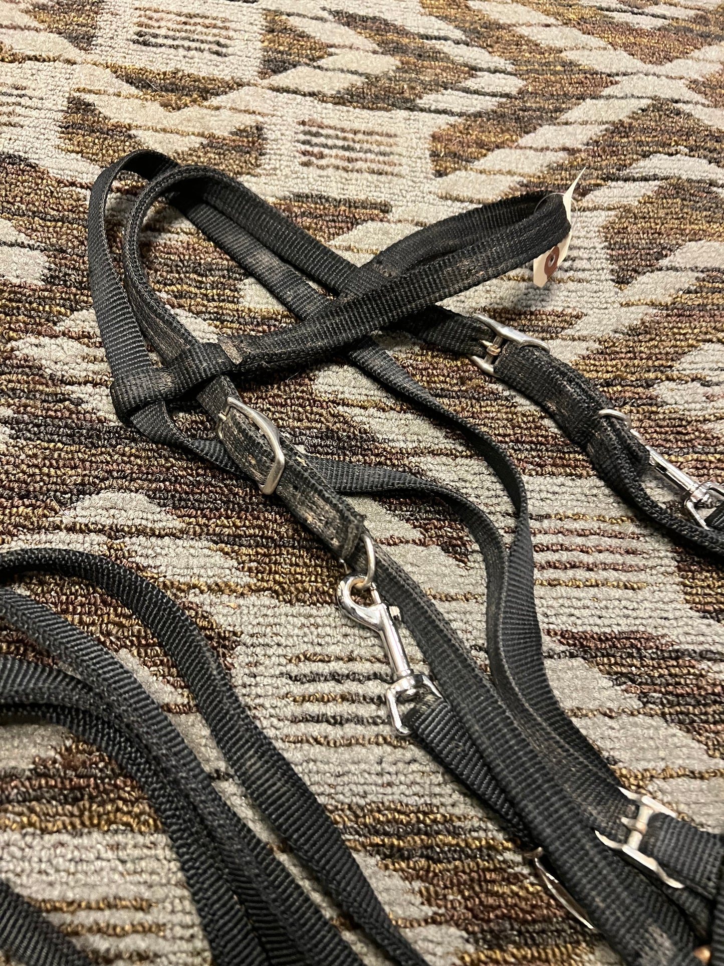 Halter Bridle Set