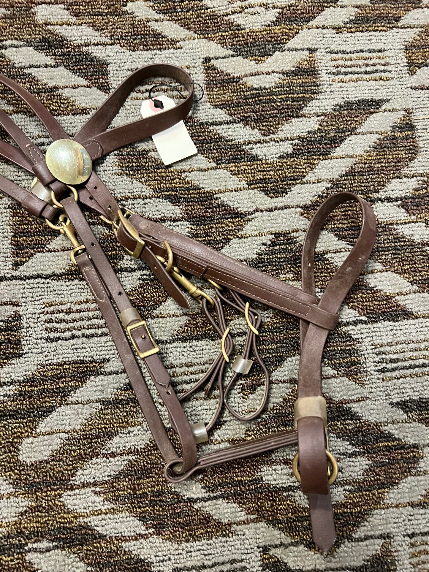 Brown Biothane Halter Bridle