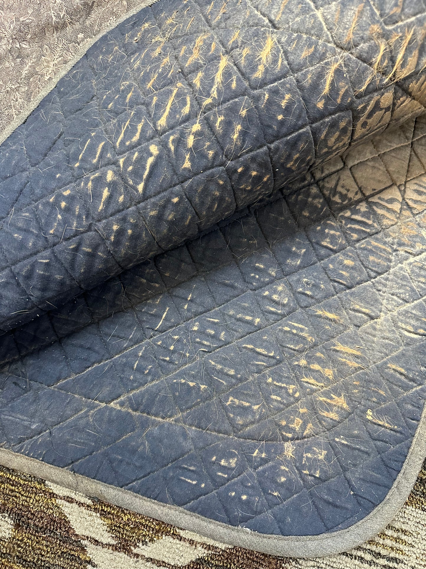 Equine Textiles AP Pad