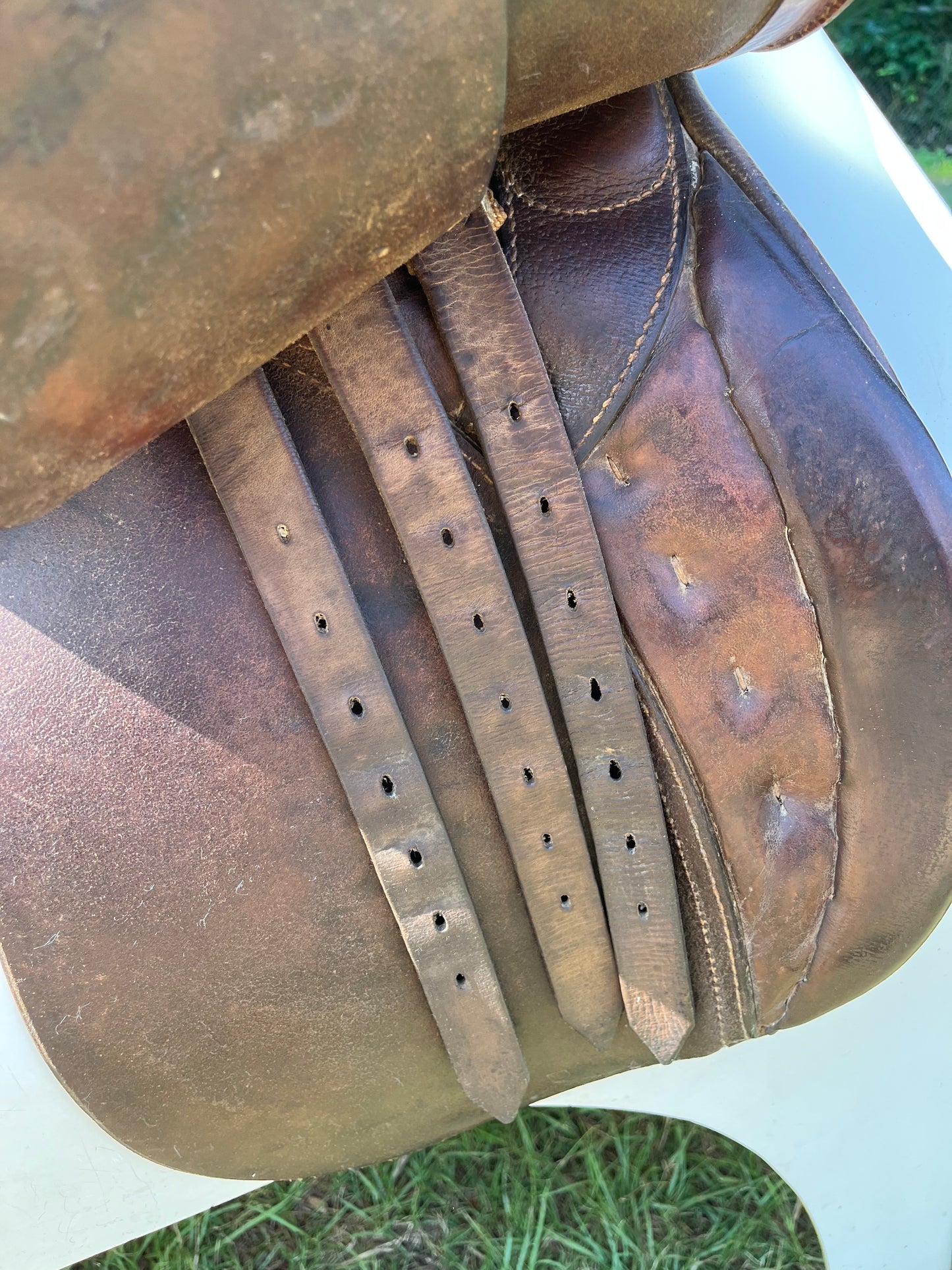 Hannover Dressage Saddle
