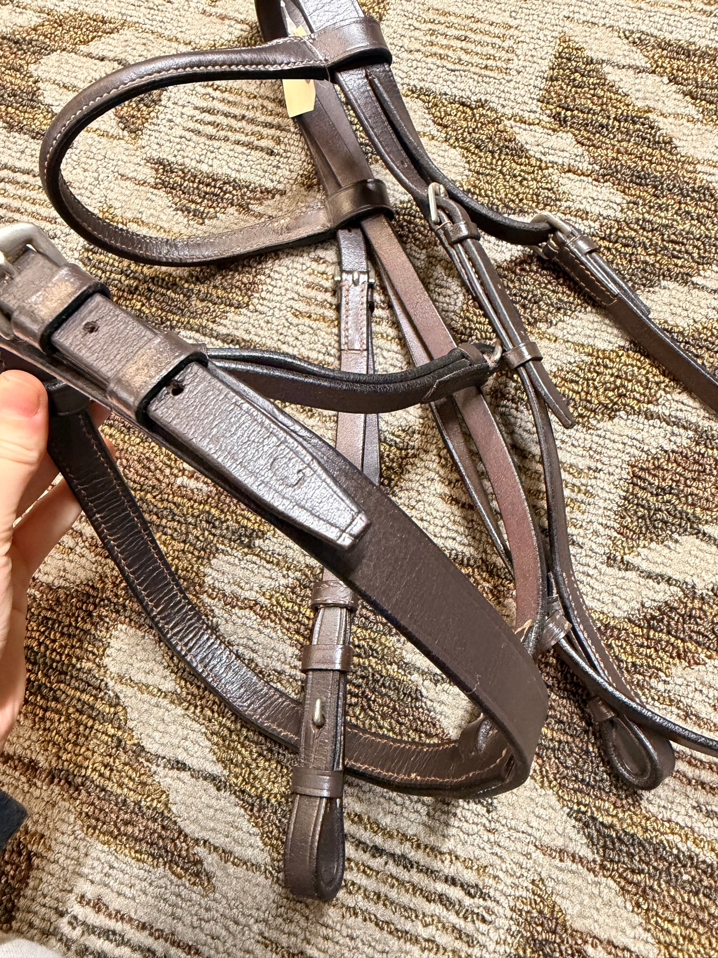 Brown Cob Bridle
