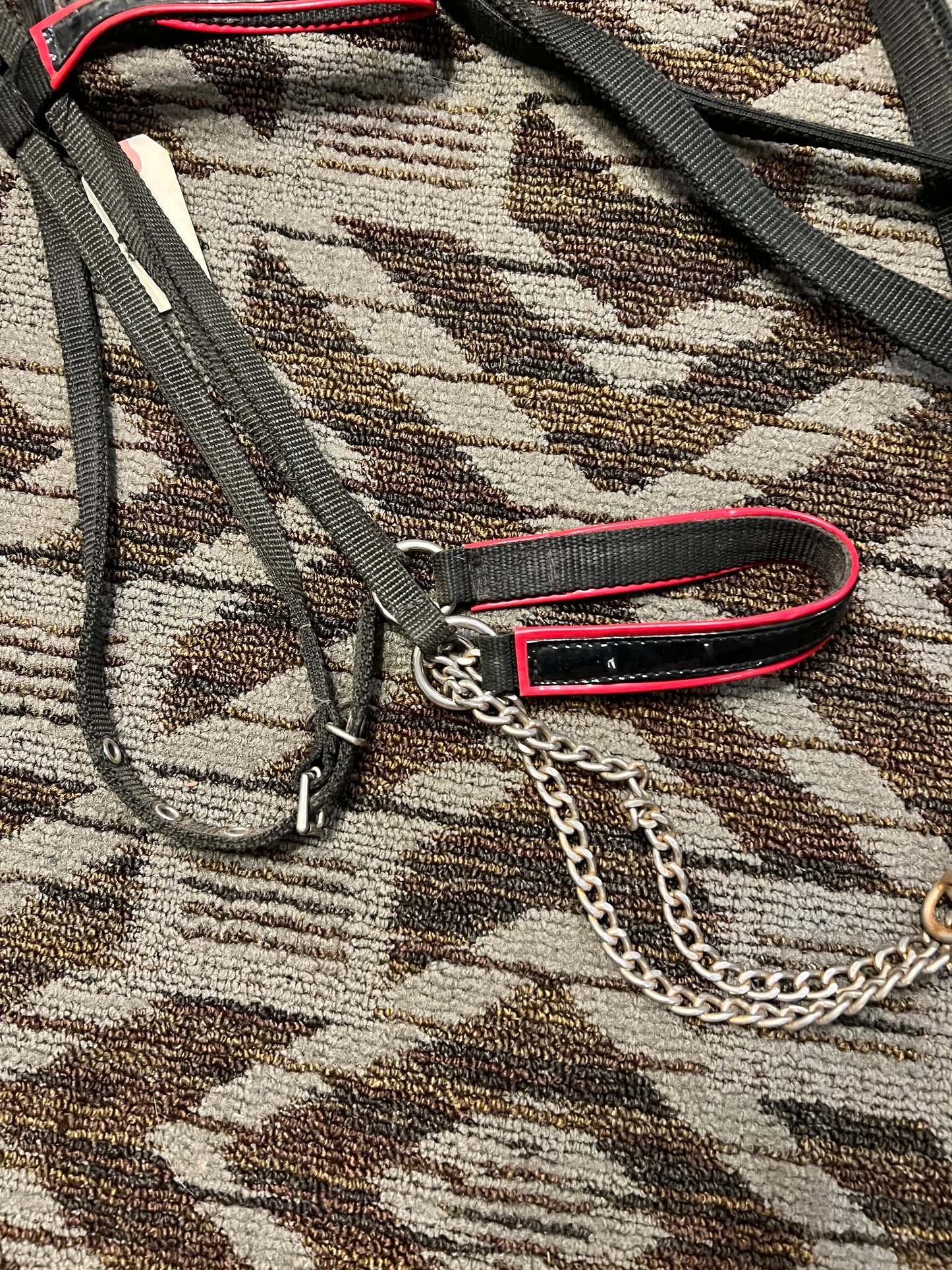 Nylon Arabian Show Halter