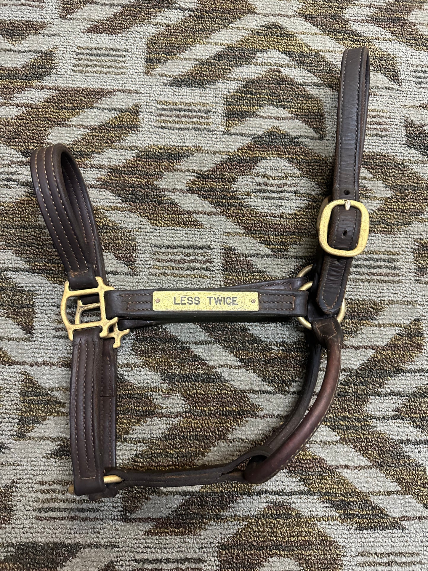 Triple Stitched Leather Halter w/ Nameplate
