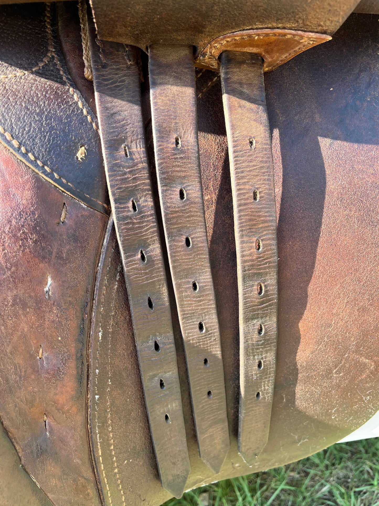 Hannover Dressage Saddle