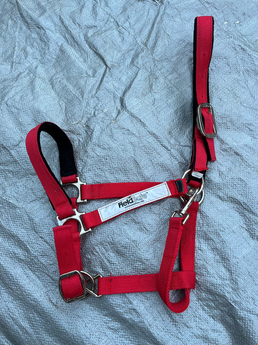 Field Safe Red Halter