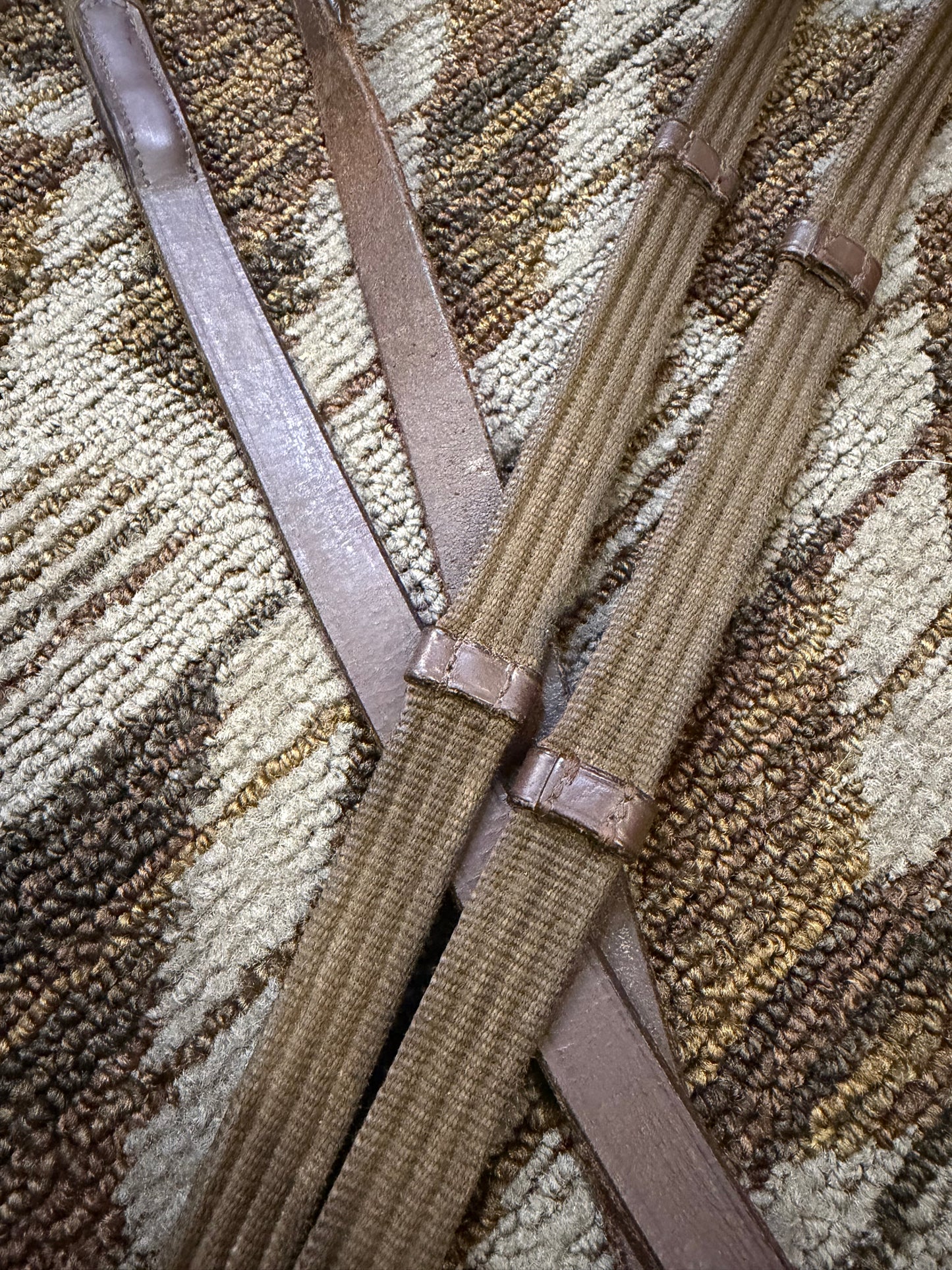 Brown Webbed Reins