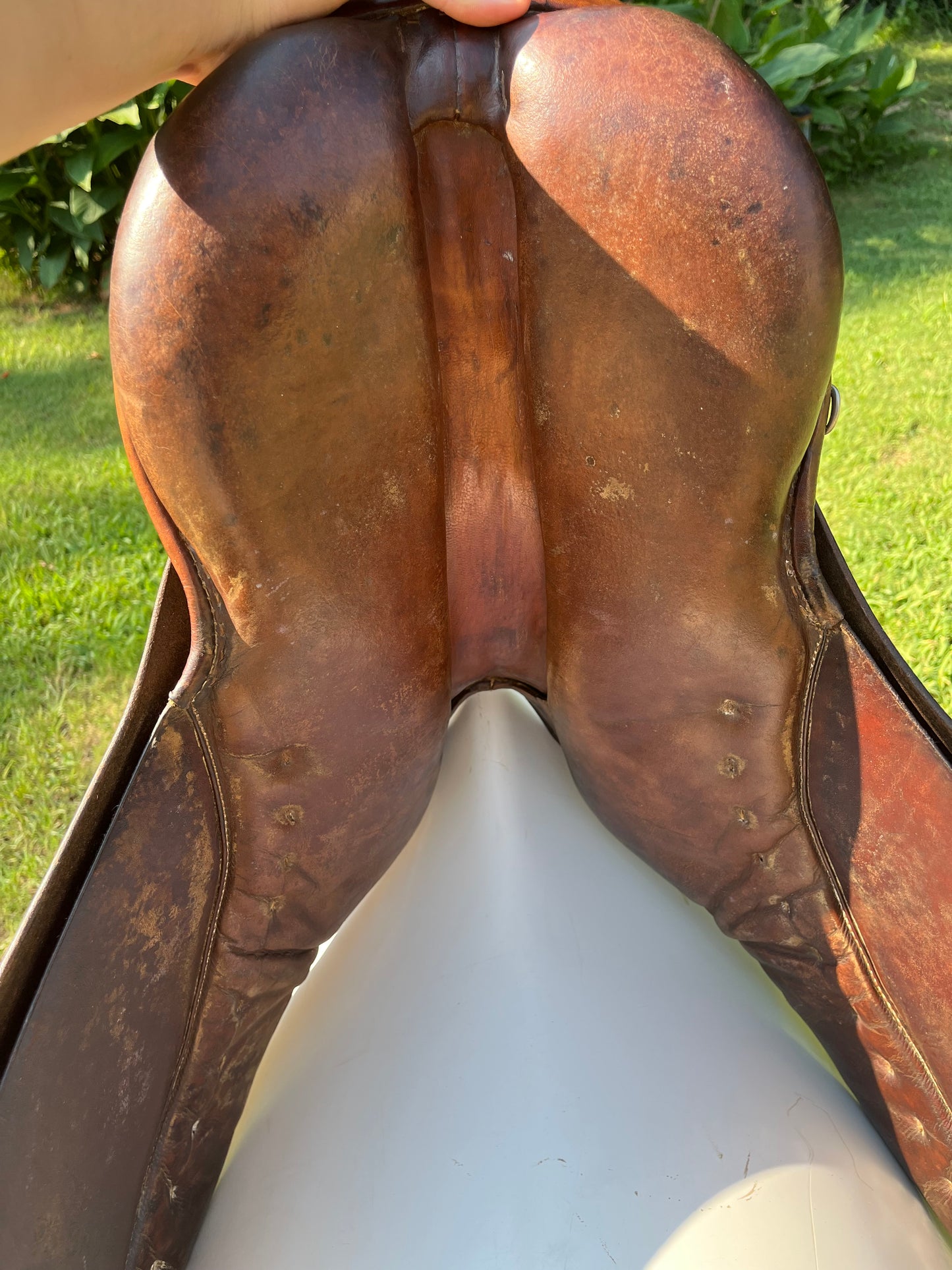 Hannover Dressage Saddle