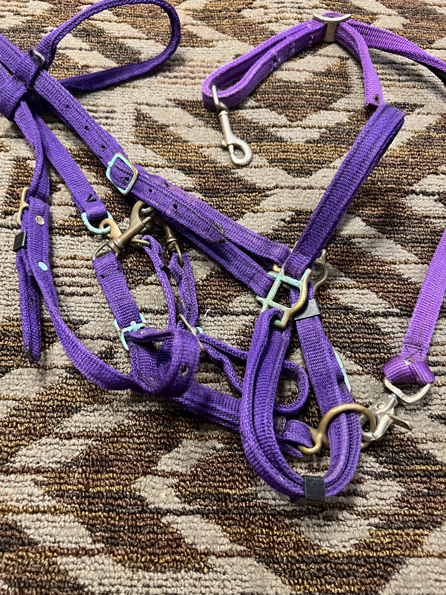 Purple Halter Bridle