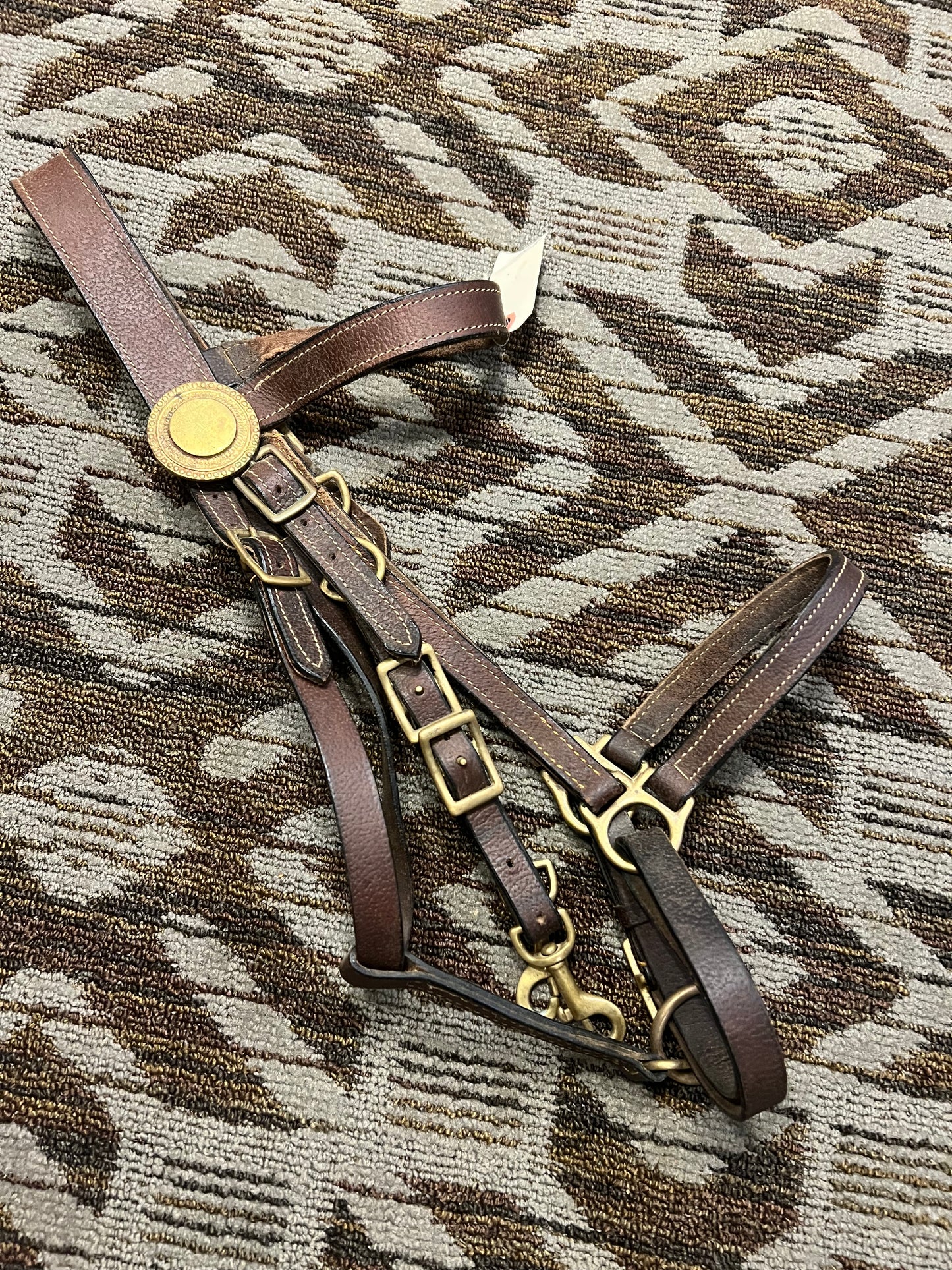 Leather Halter Bridle w/ Brass Hardware