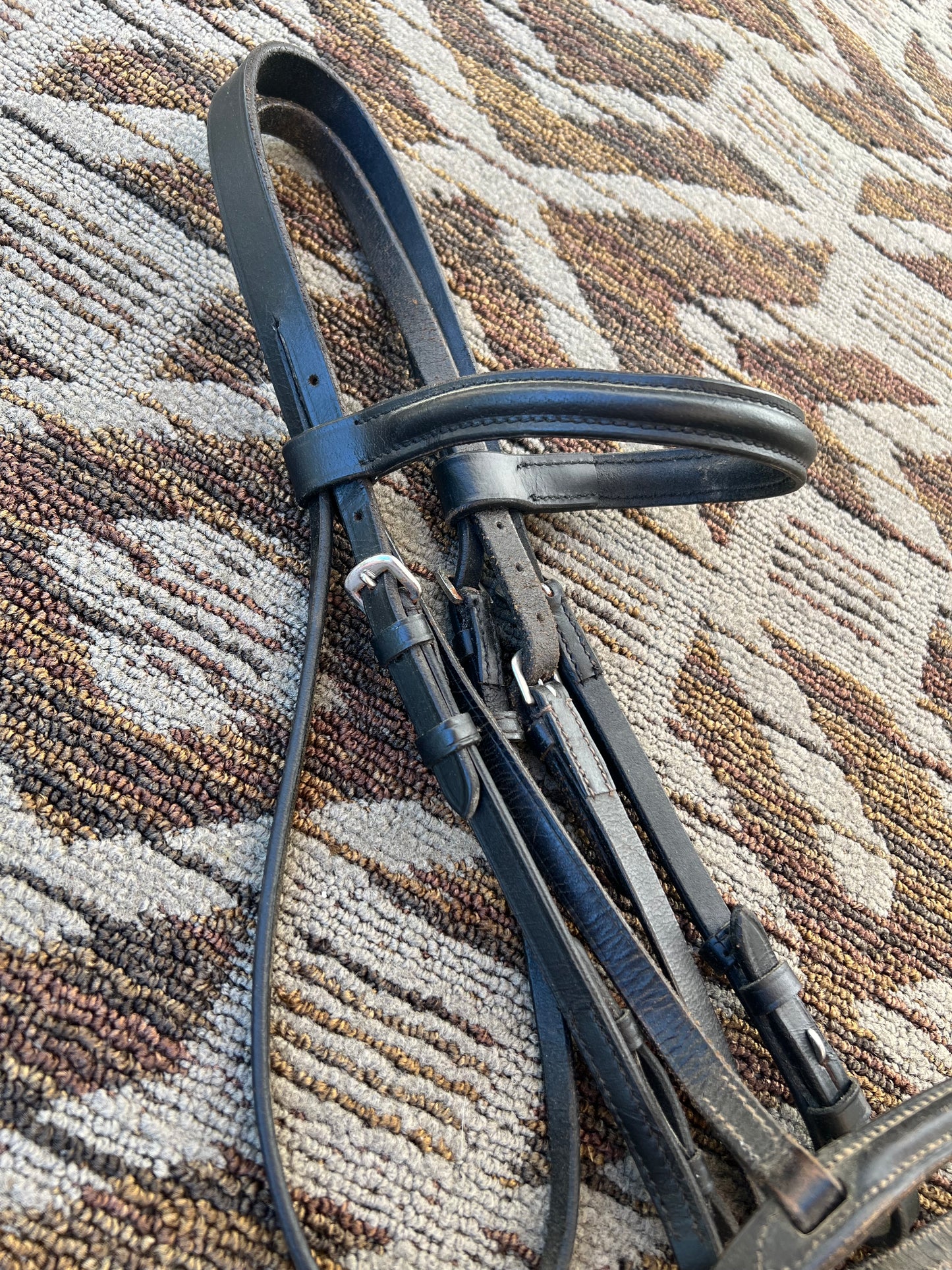 Black Bridle