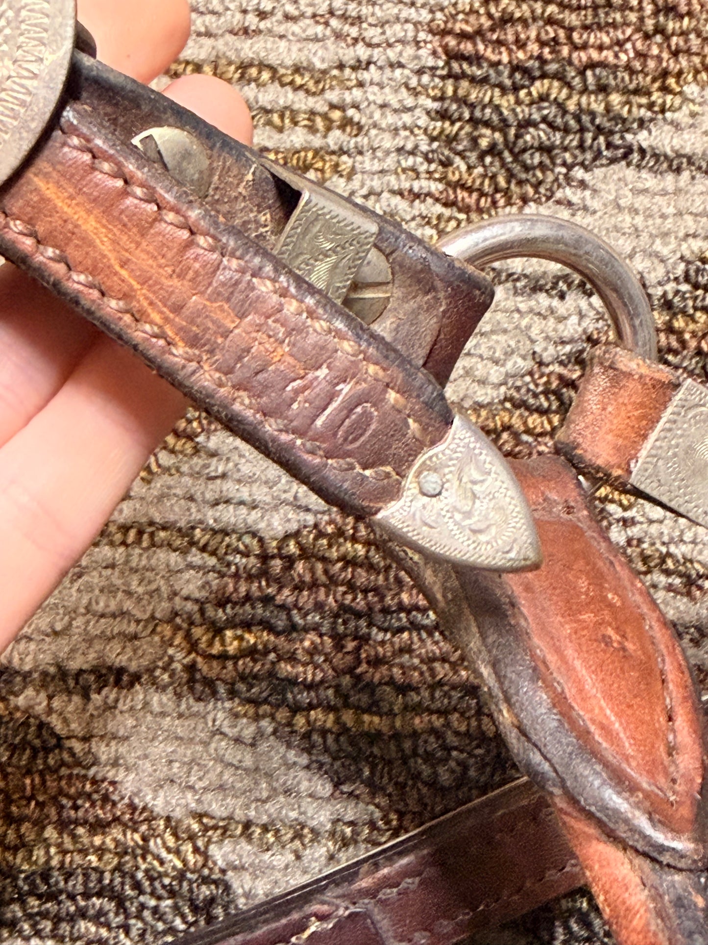 Circle Y Silver Show Halter