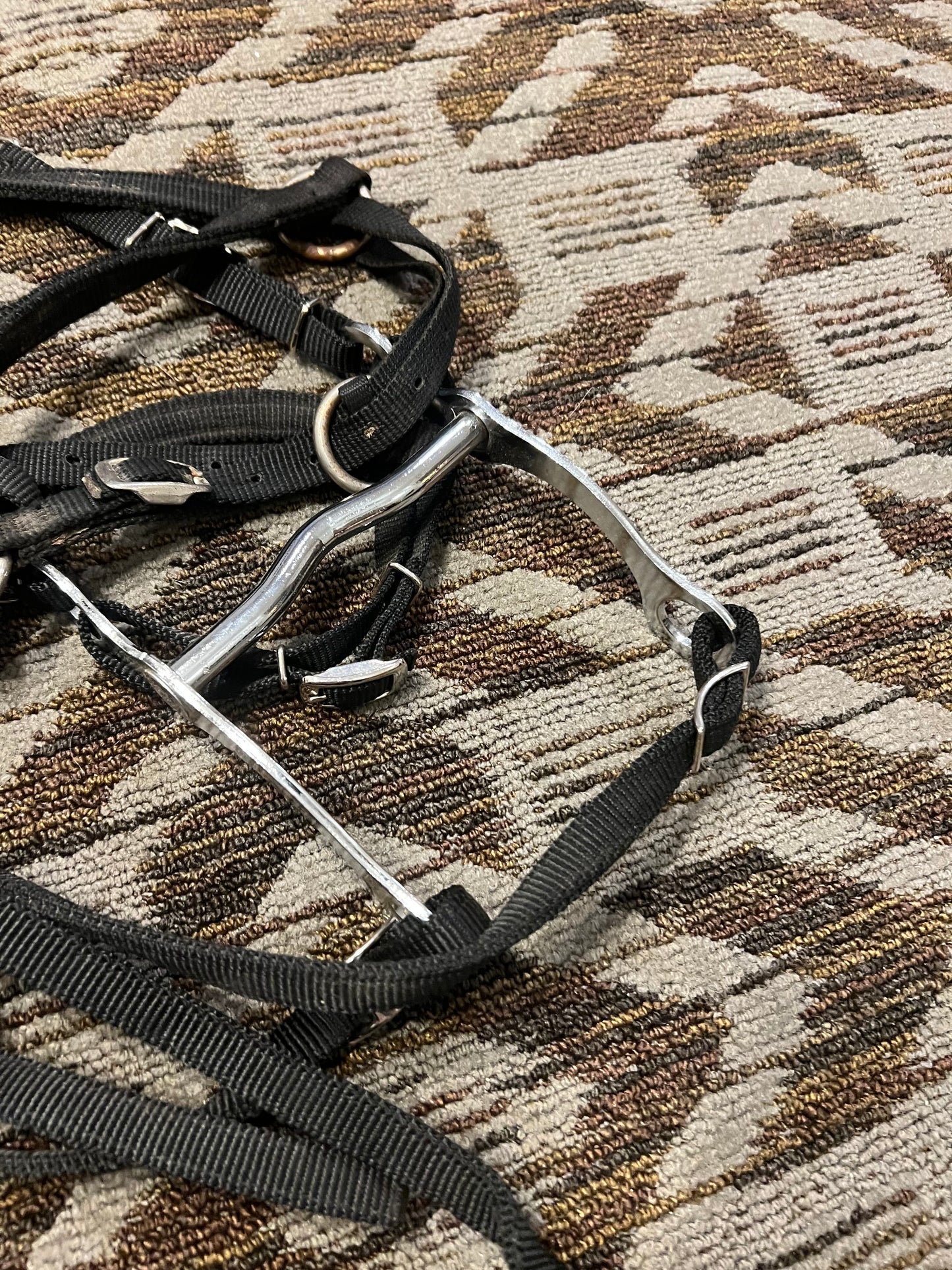 Halter Bridle Set