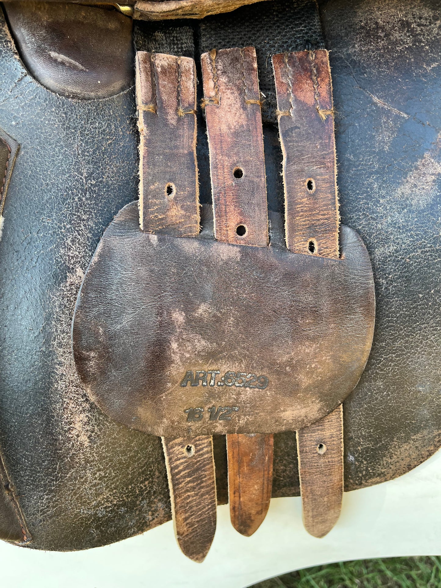 Collegiate All Purpose Saddle