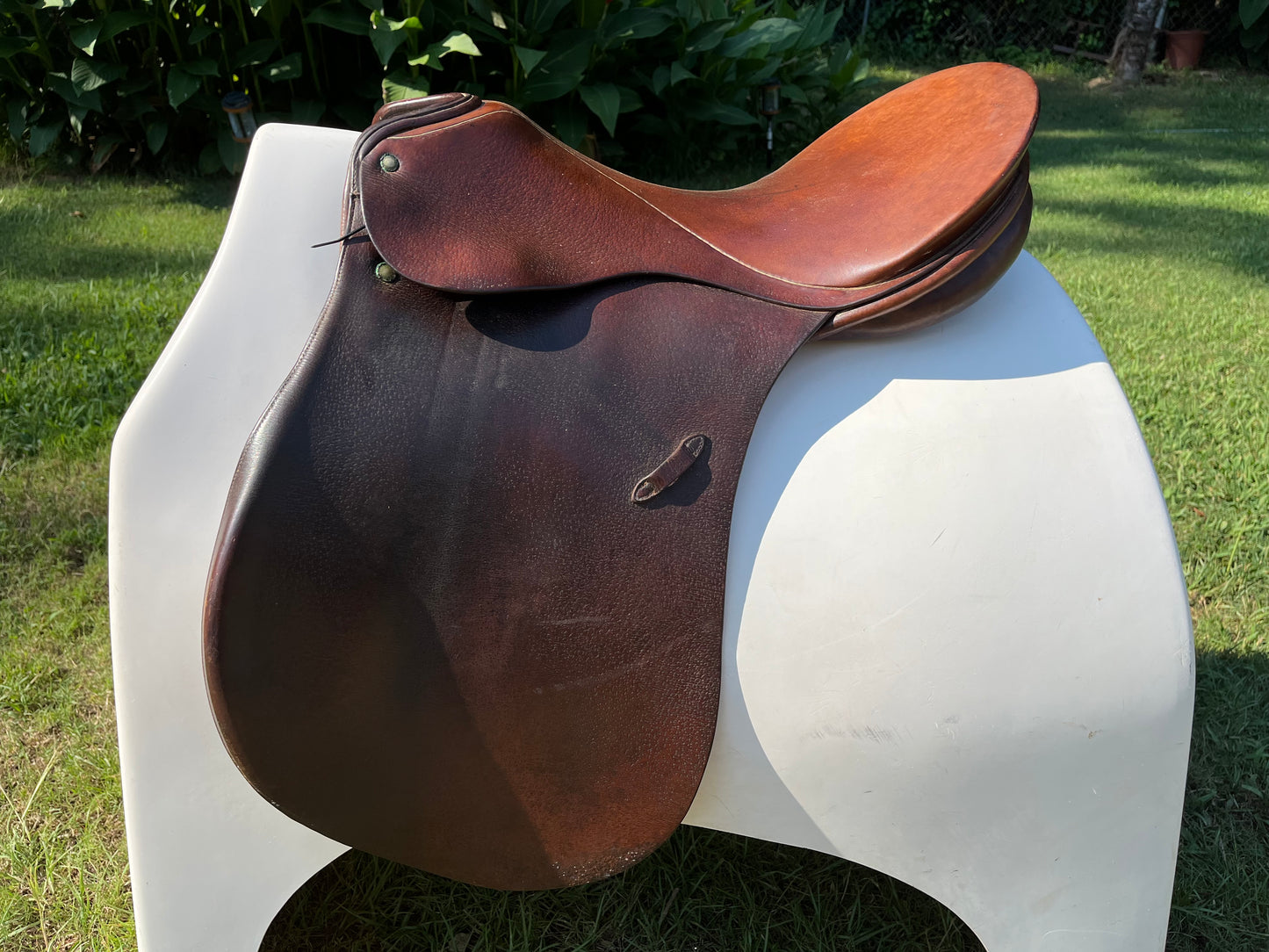 Hannover Dressage Saddle