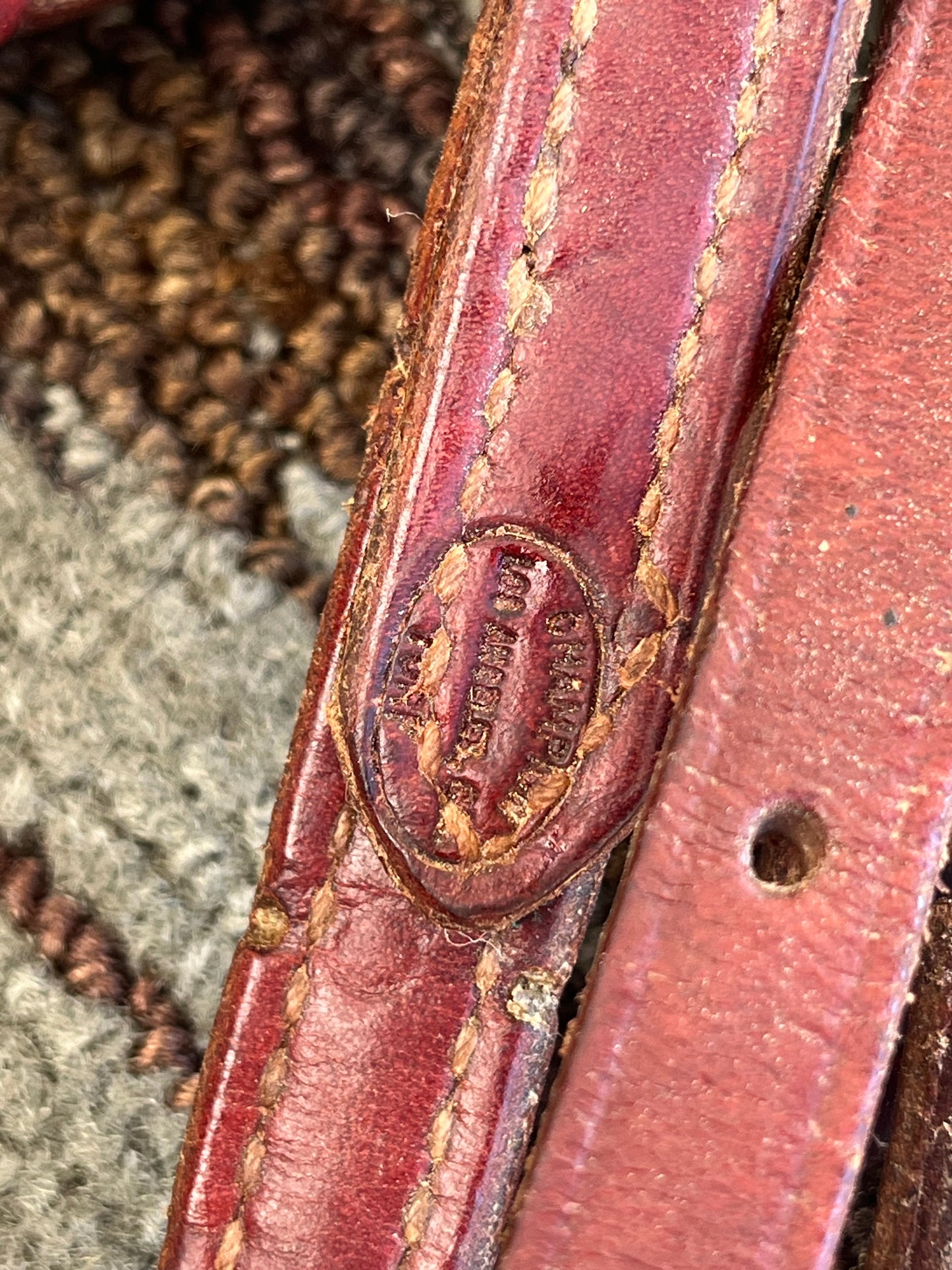 Champion Turf Futurity Knot Headstall