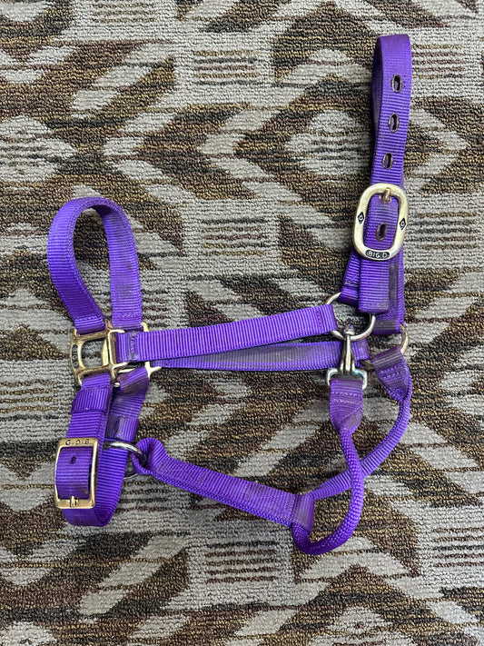 Big D Nylon Halter
