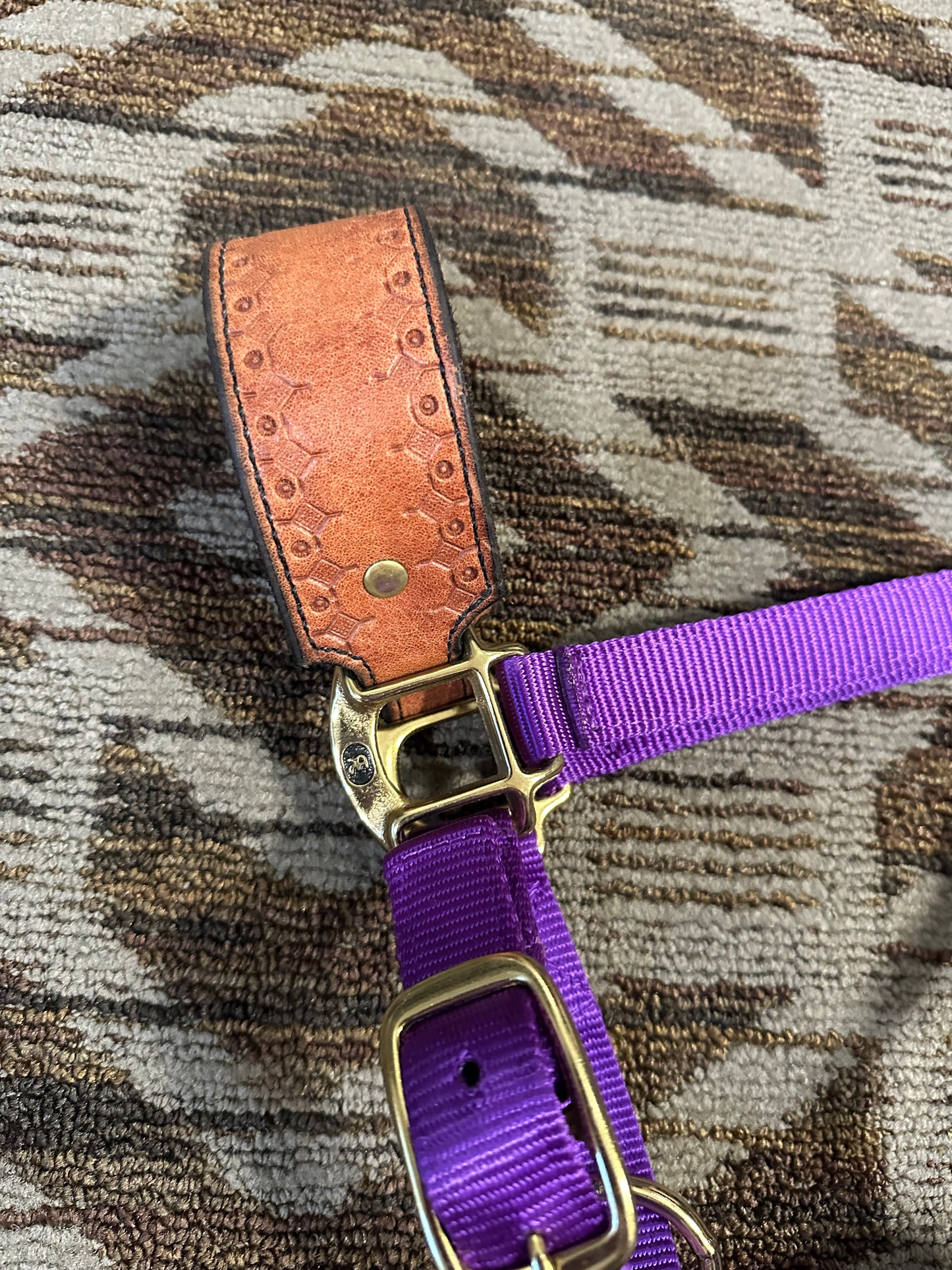 Reinsman Bronc Halter