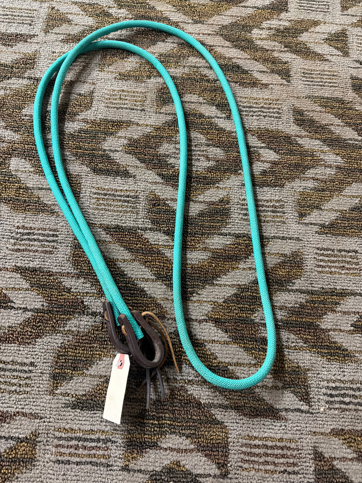 Teal Loop Reins
