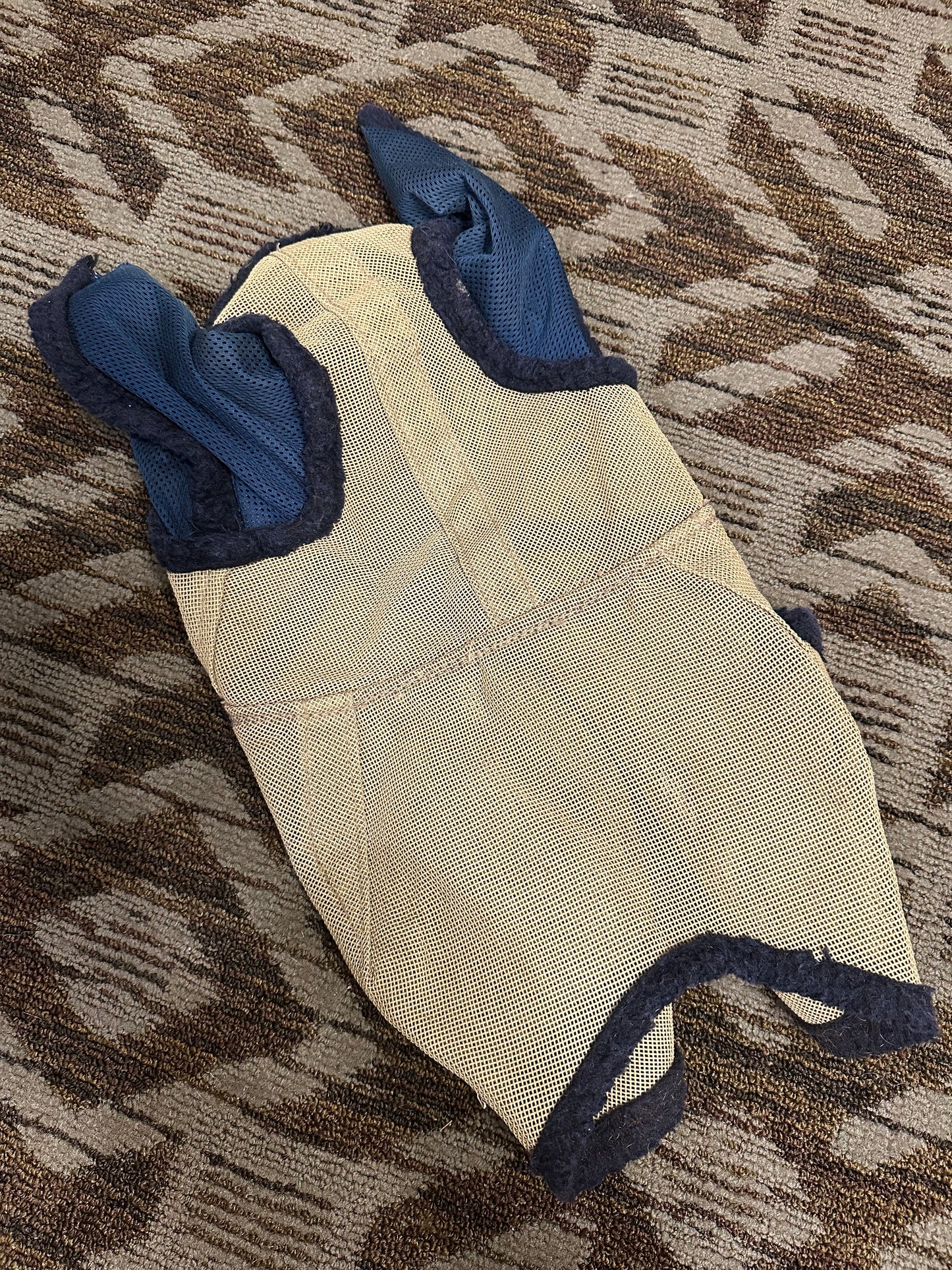 Fly Mask