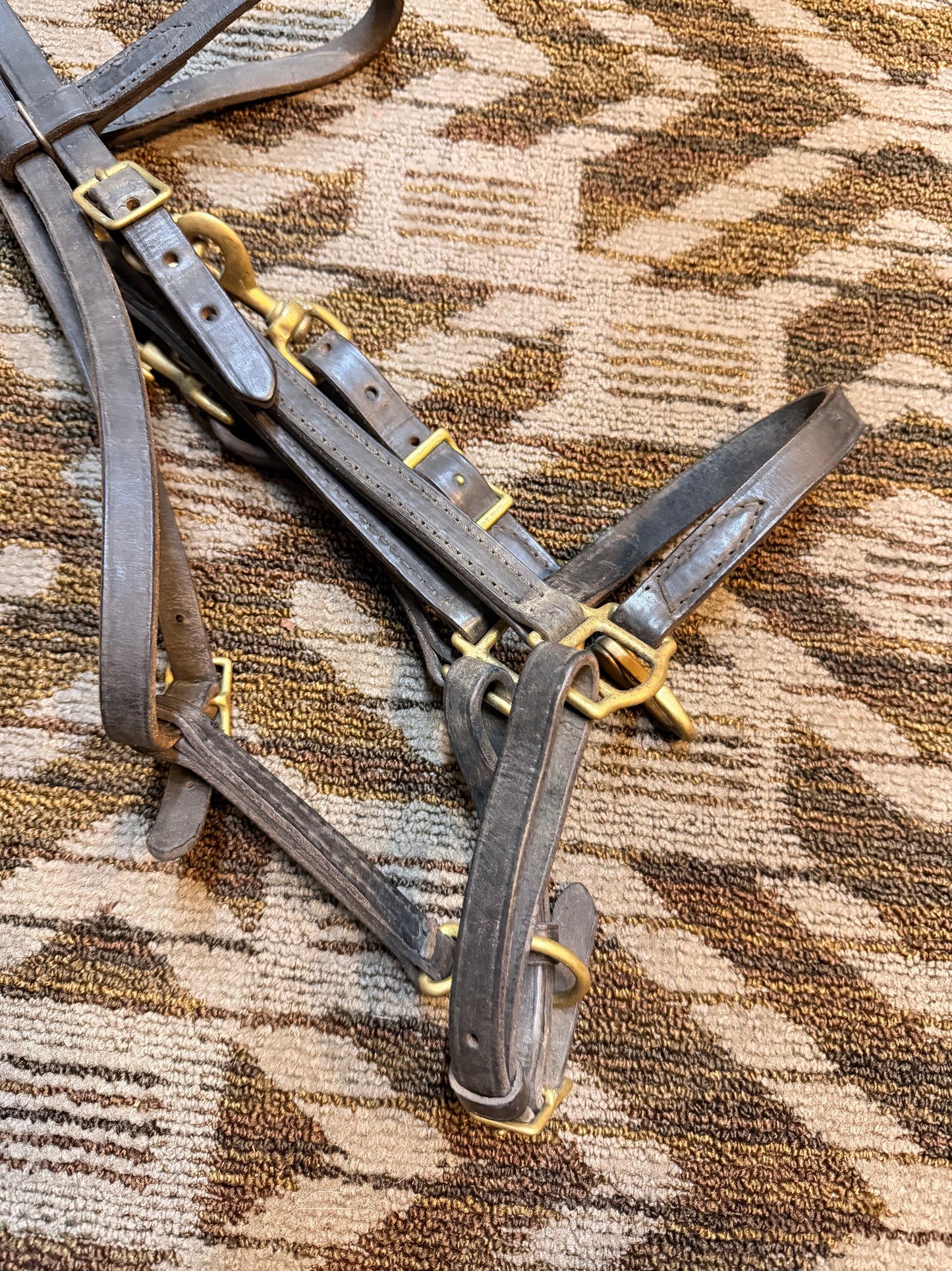 Black Halter Bridle w/ Solid Brass Hardware