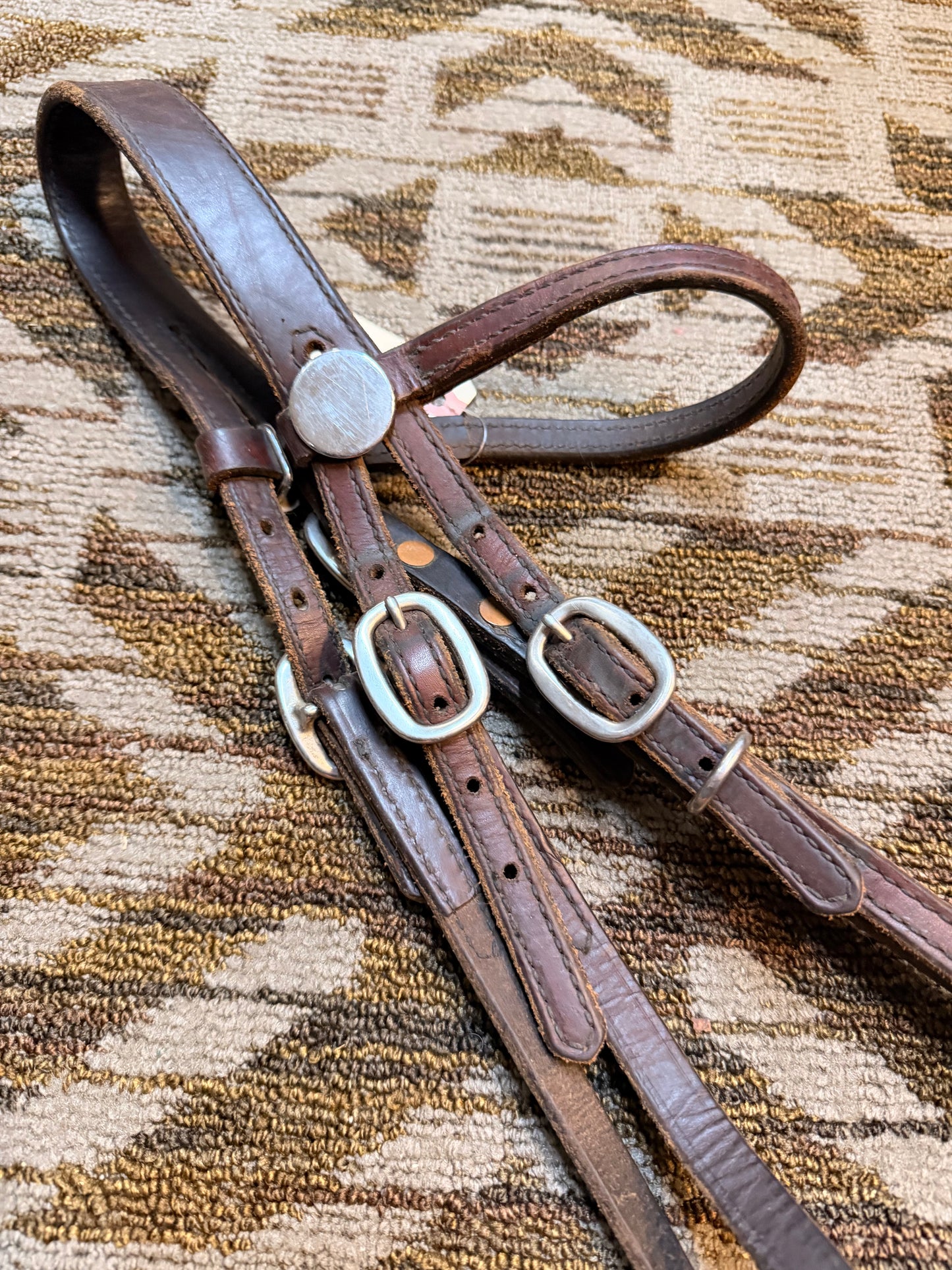 Tucker Halter Bridle