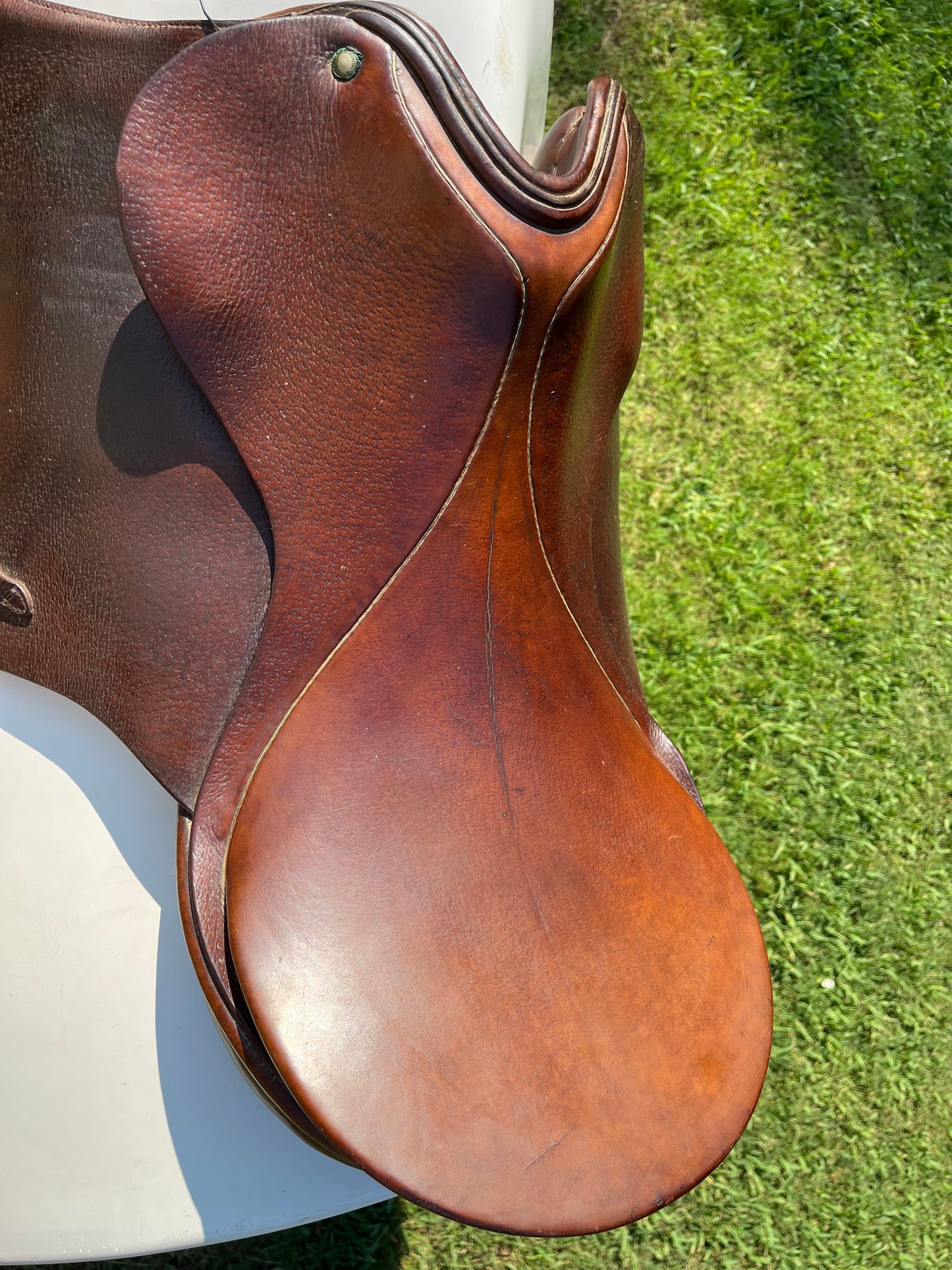 Hannover Dressage Saddle