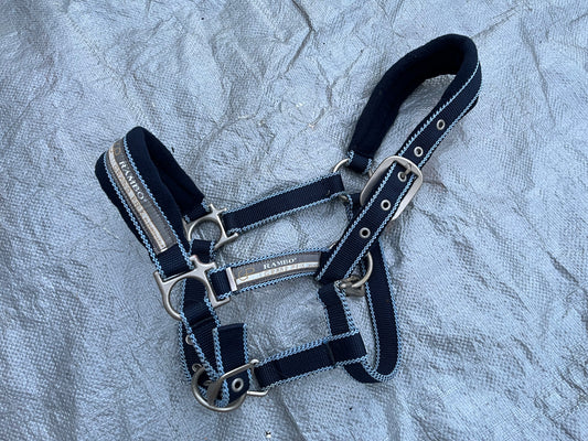 Rambo Grand Prix Padded Halter
