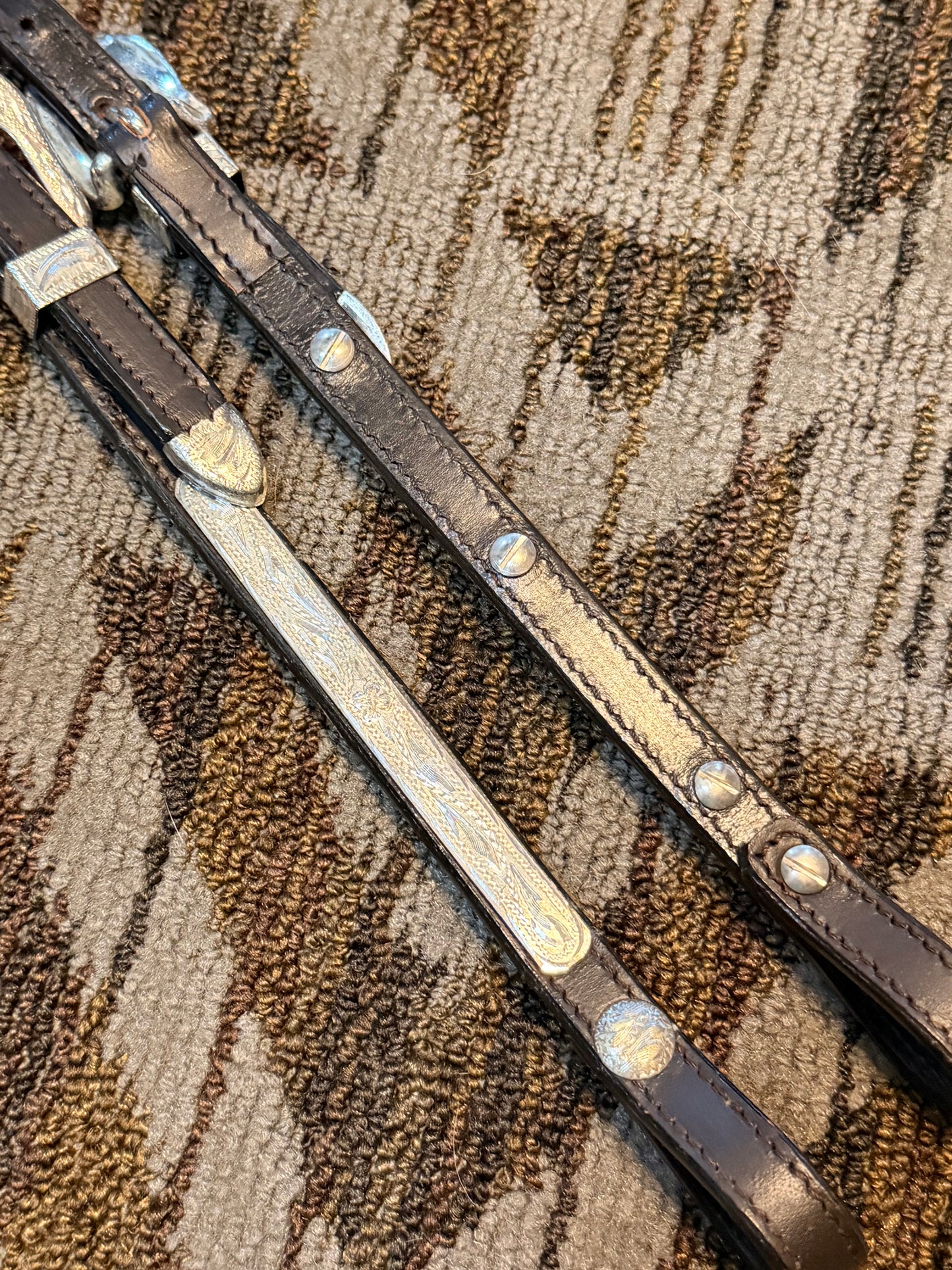 Silver Double Ear Headstall