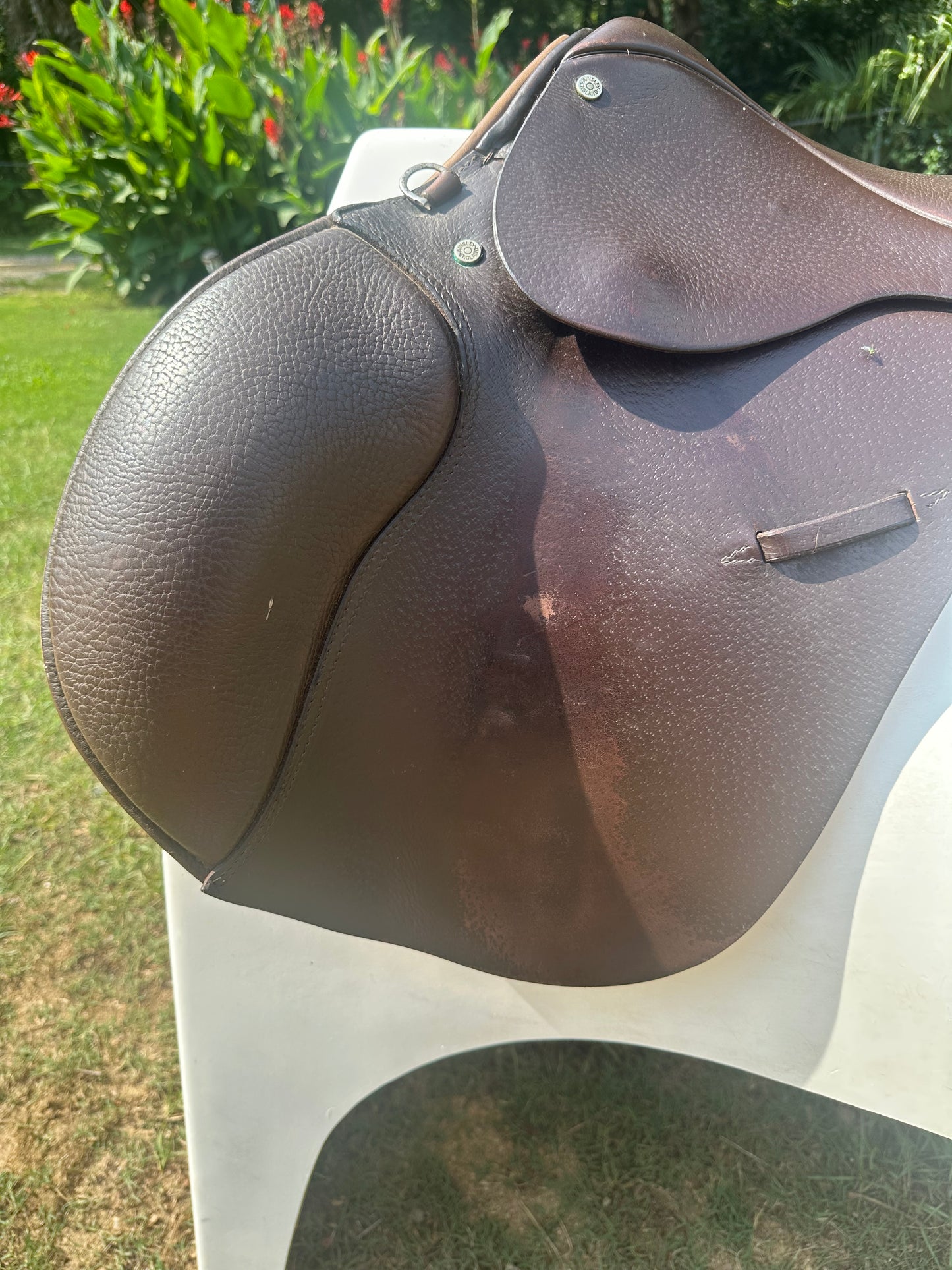 Ainsley Forward Flap Jump Saddle