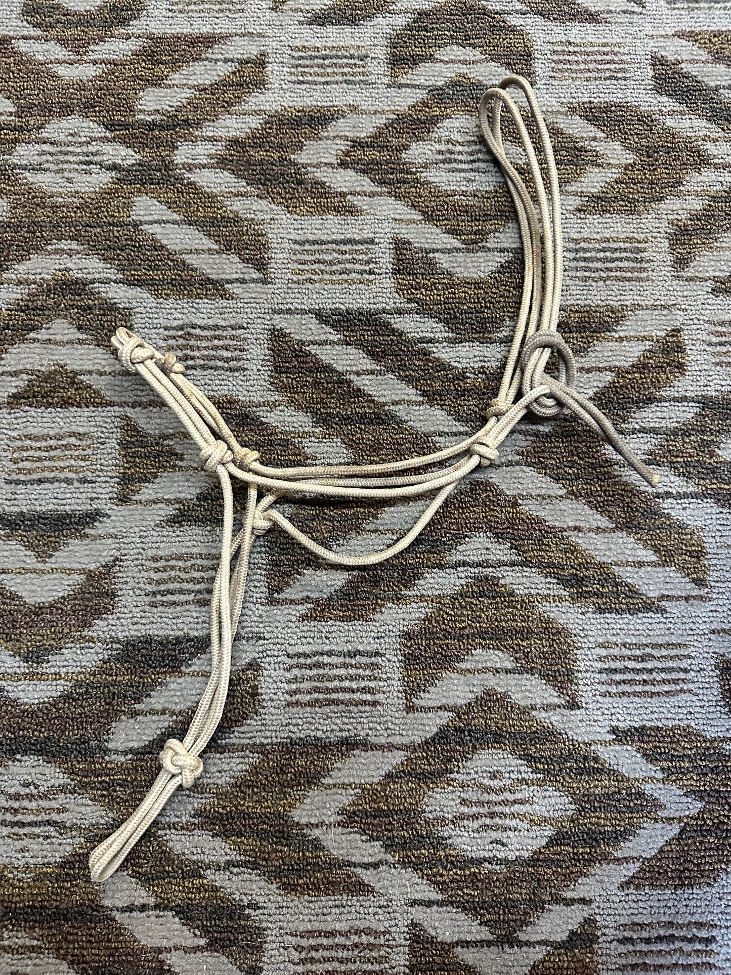 Rope Halter