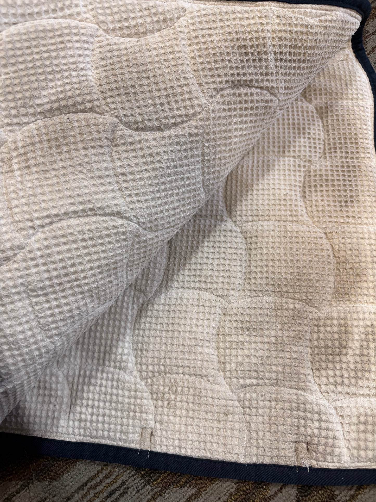 Anna Scarpati Dressage Pad