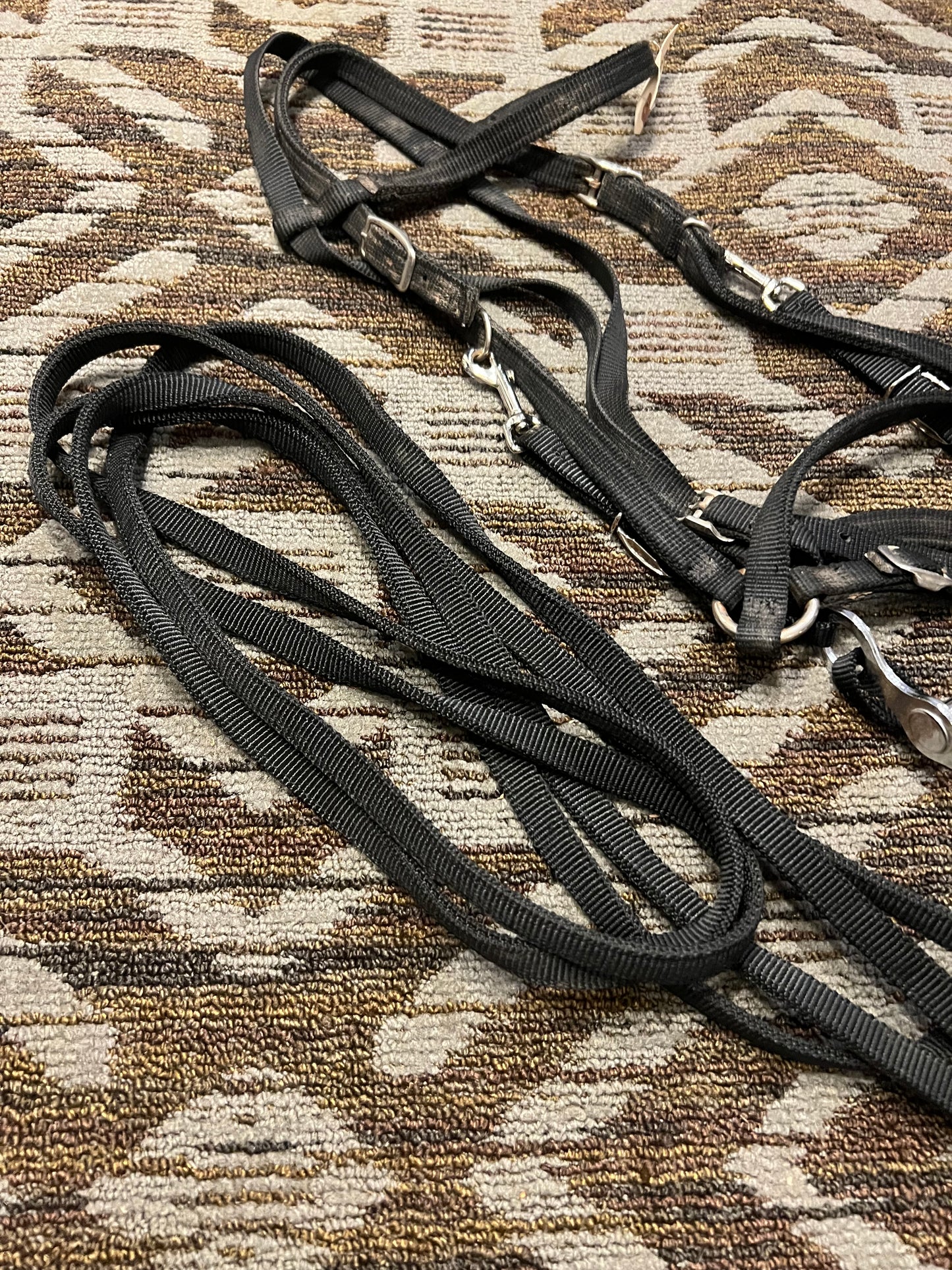 Halter Bridle Set