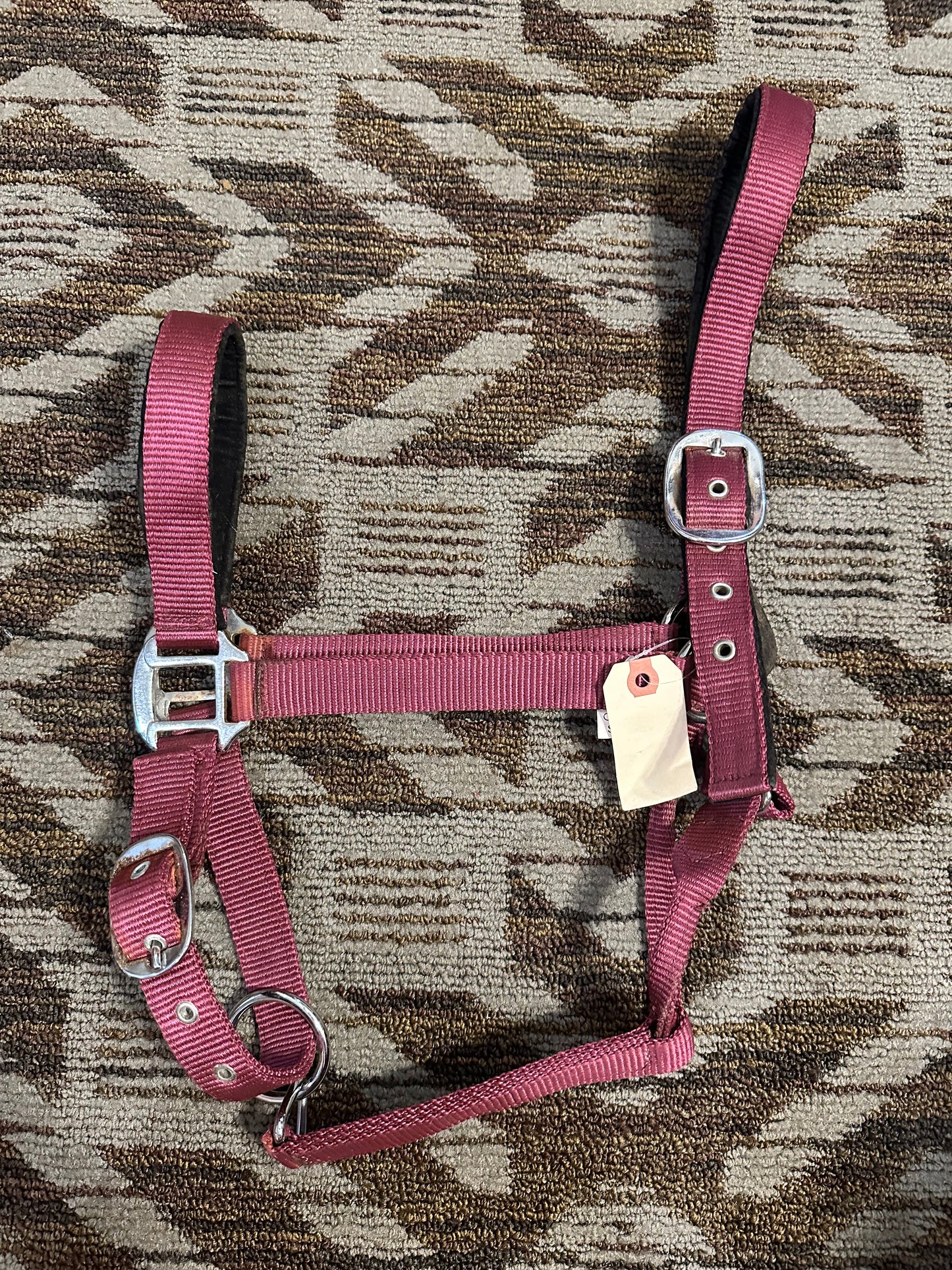 Breakaway Halter