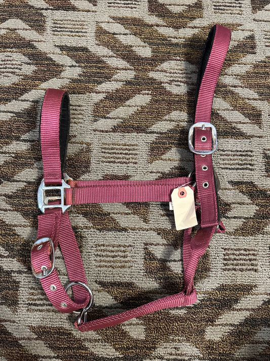 Breakaway Halter