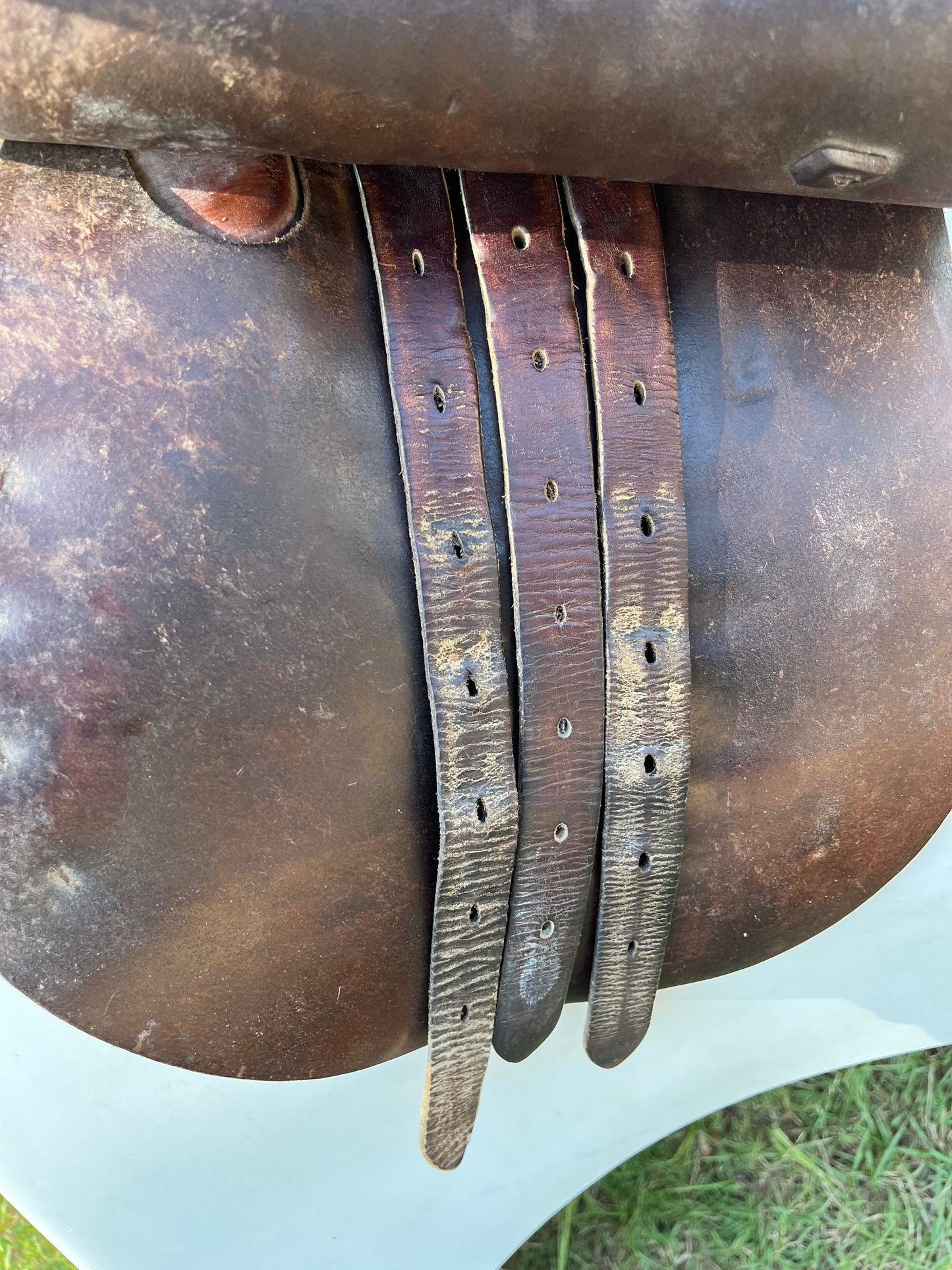 Crump All Purpose Saddle