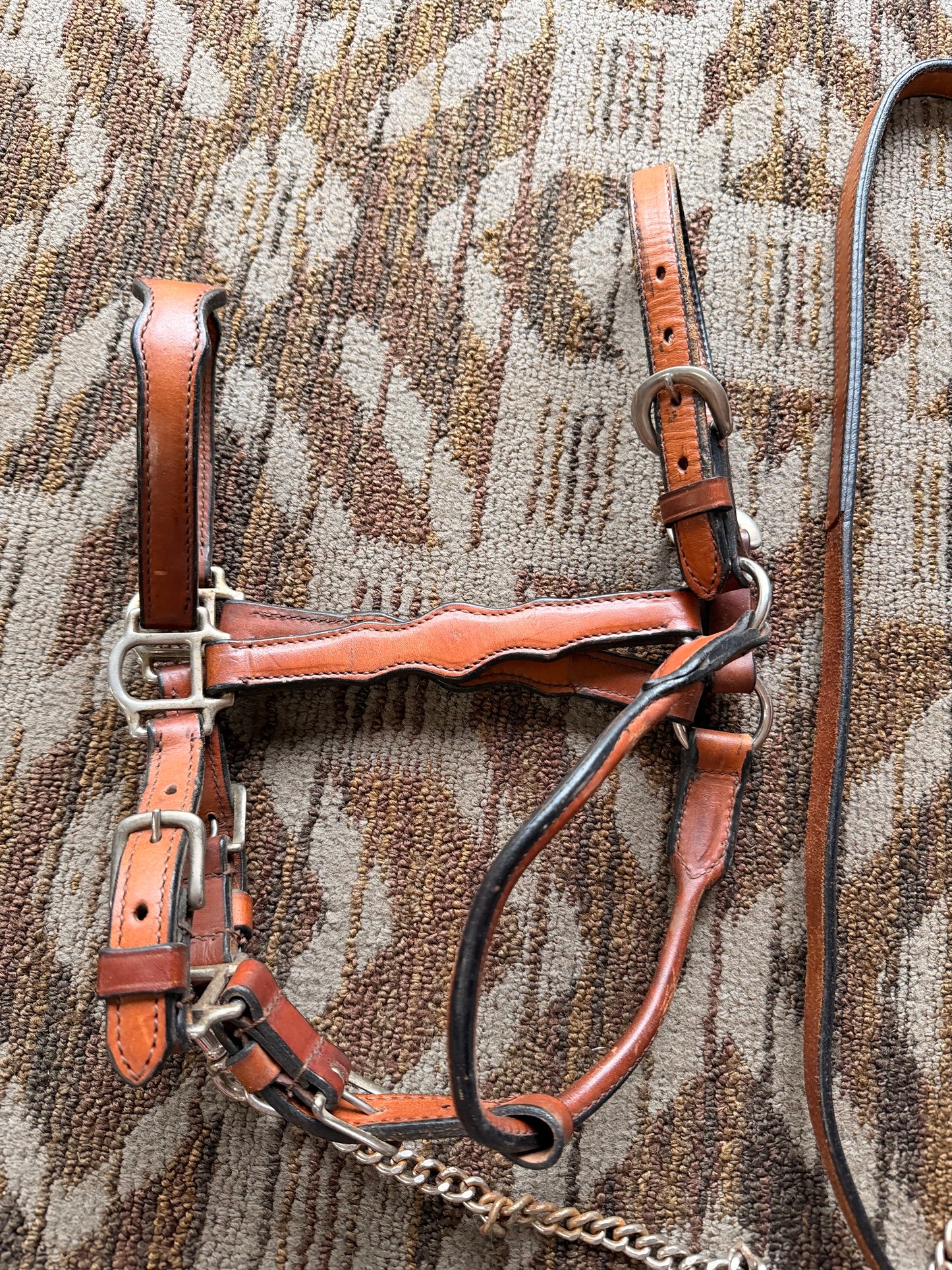 Showmanship Show Halter