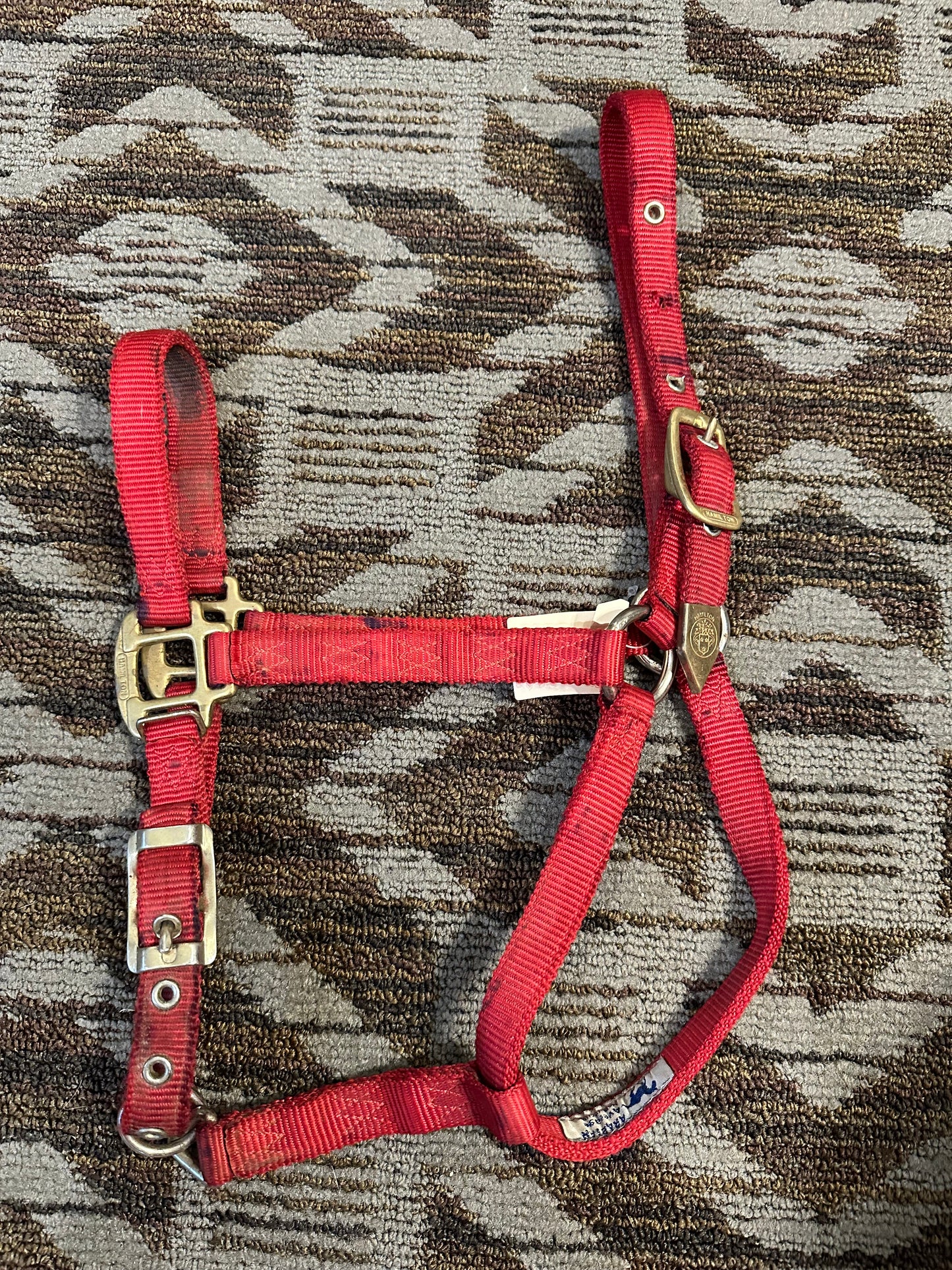 Hamilton Halter