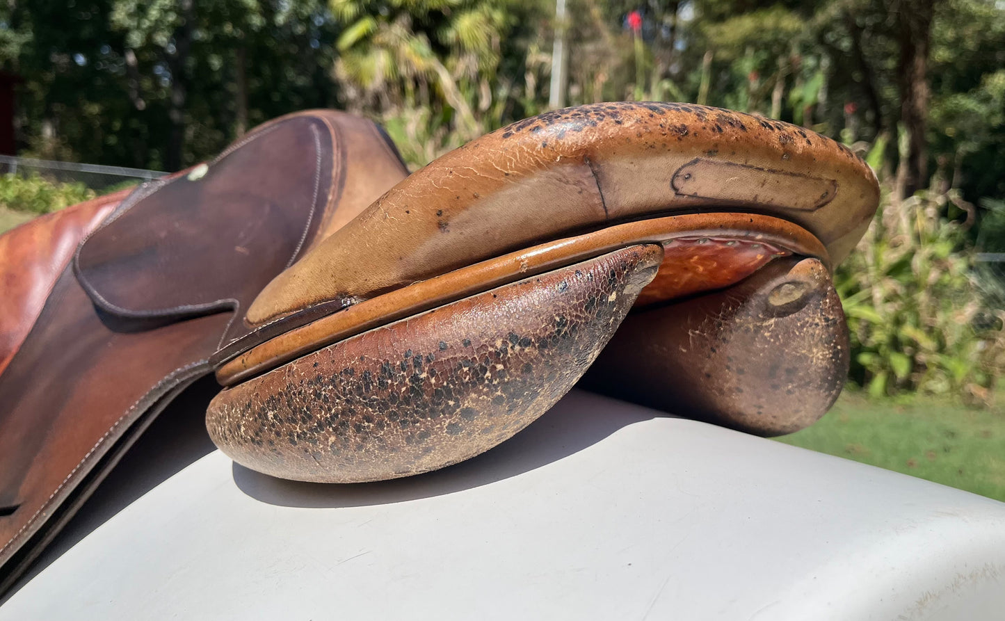 Butet Jump Saddle