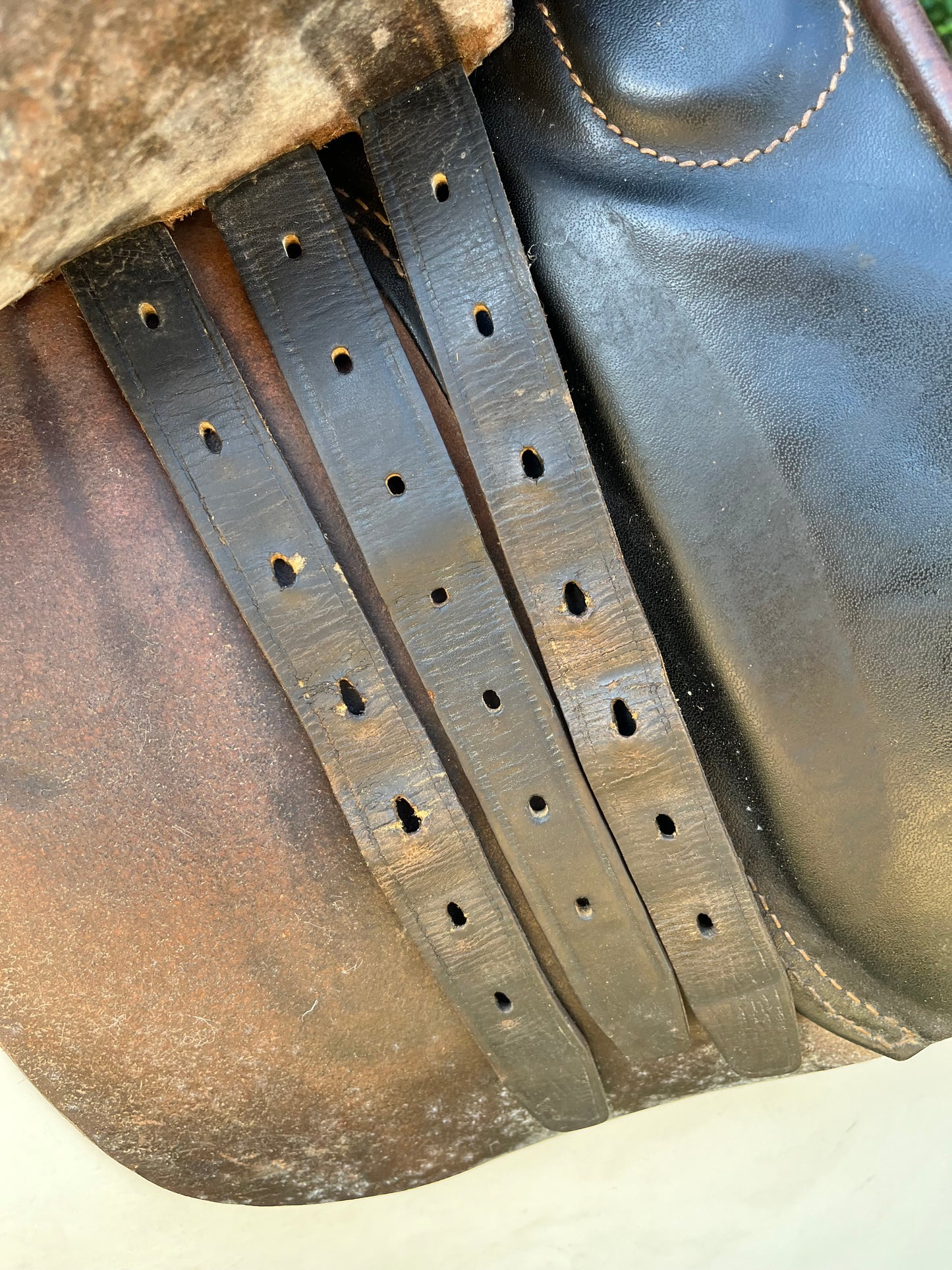 Courbette Korporal Dressage Saddle