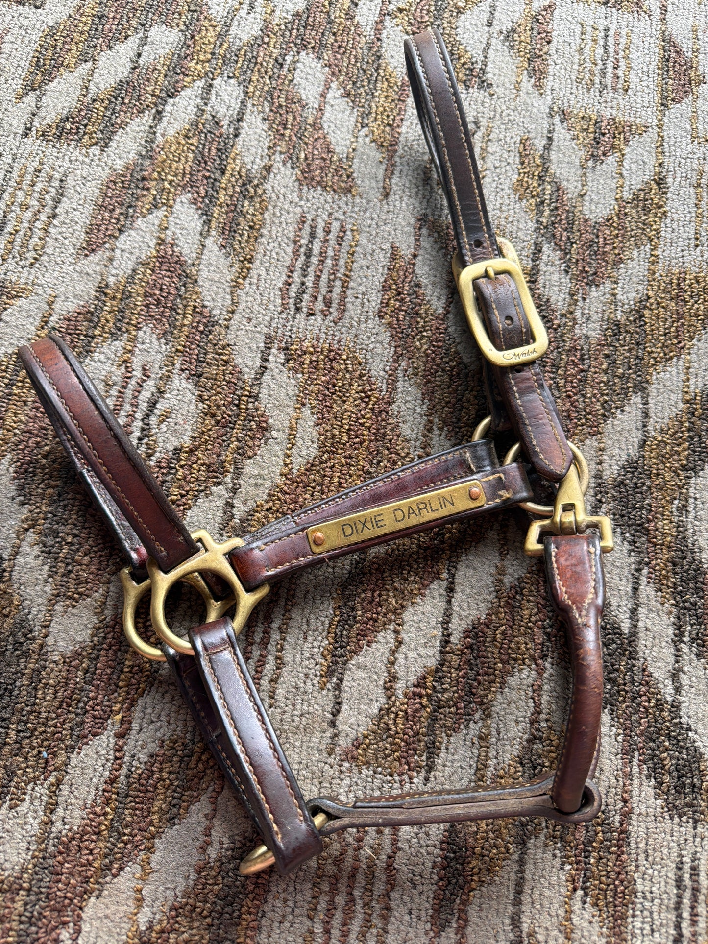 Walsh Leather Halter w/ Nameplate