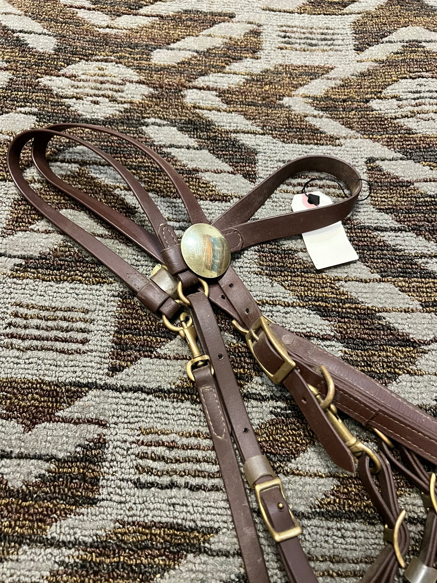 Brown Biothane Halter Bridle