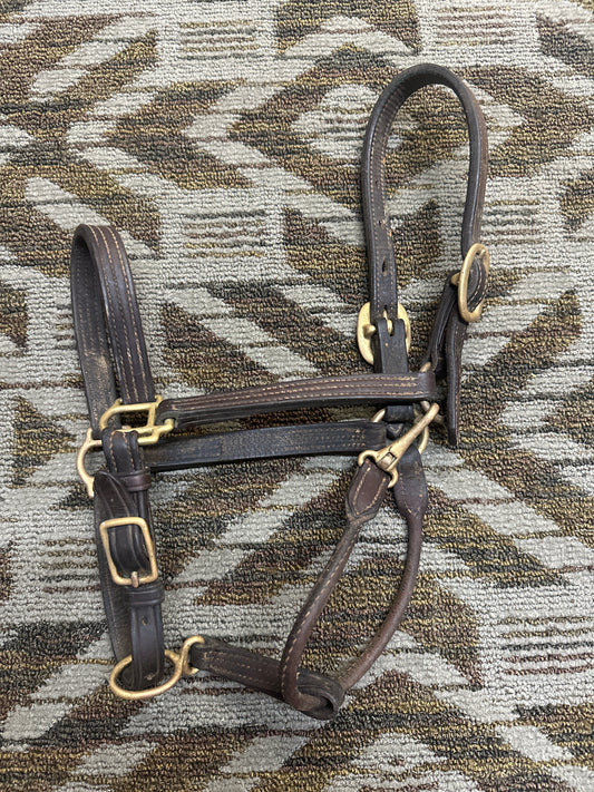 Riester Triple Stitched Leather Halter