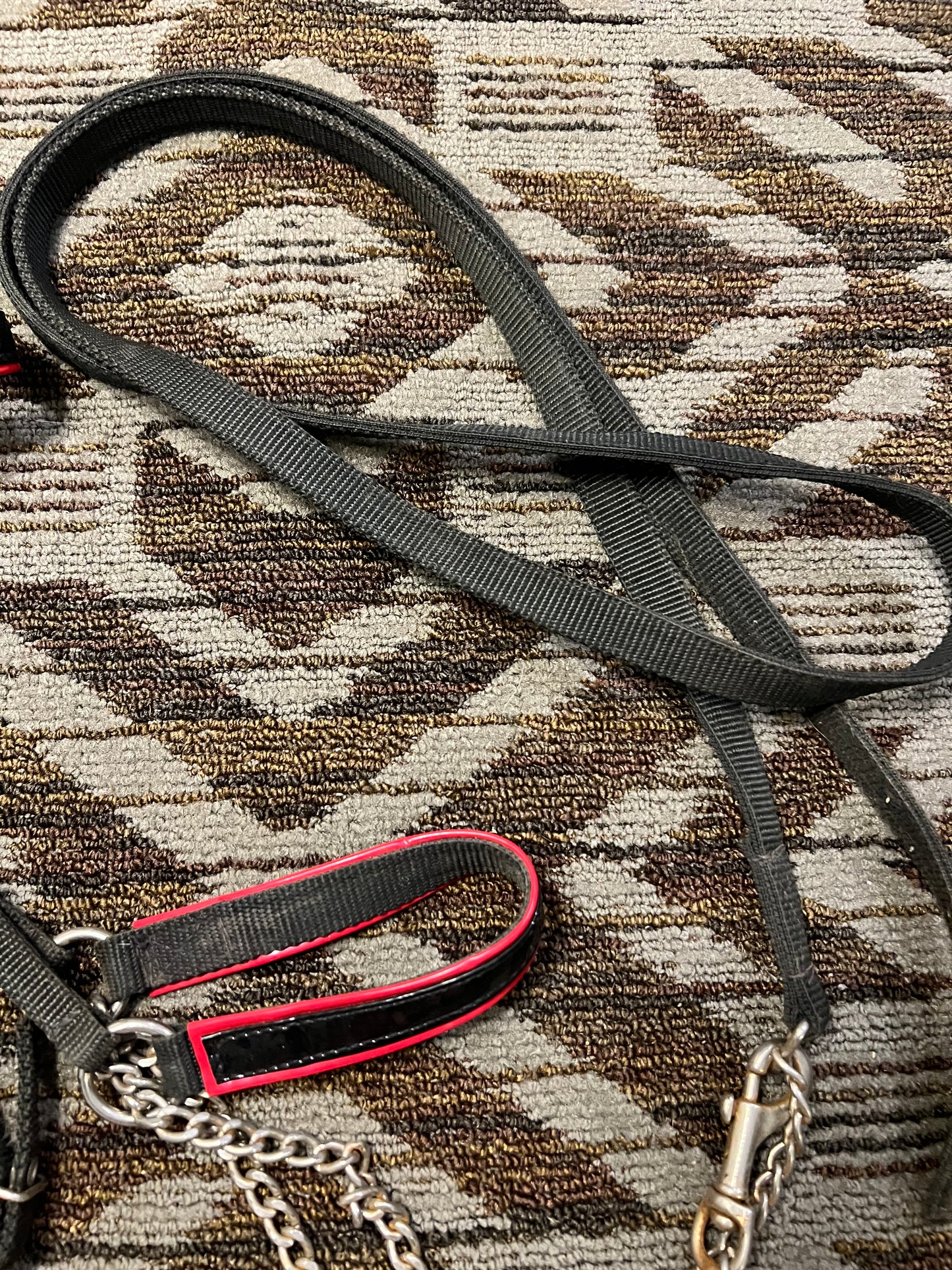 Nylon Arabian Show Halter