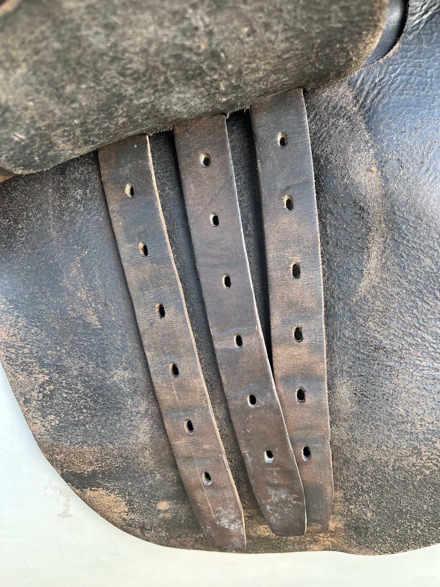 Courbette Derby Close Contact Saddle