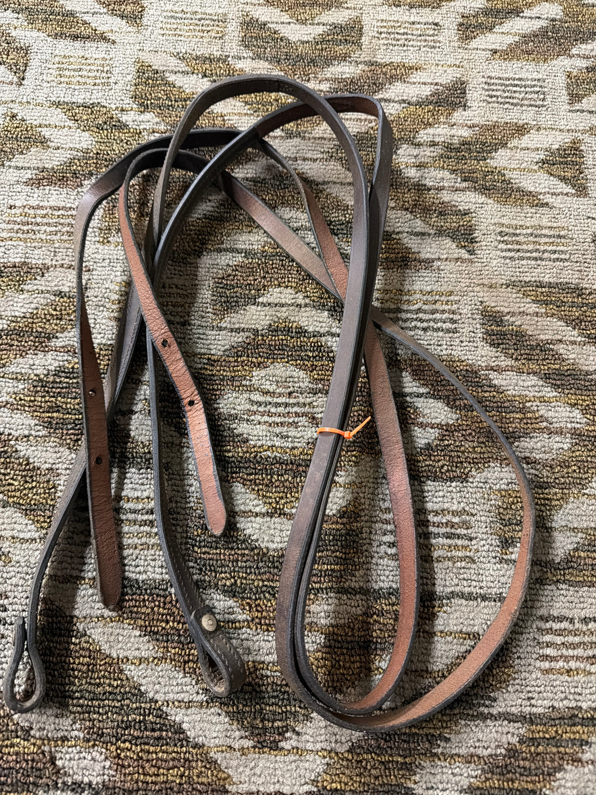 Split Reins