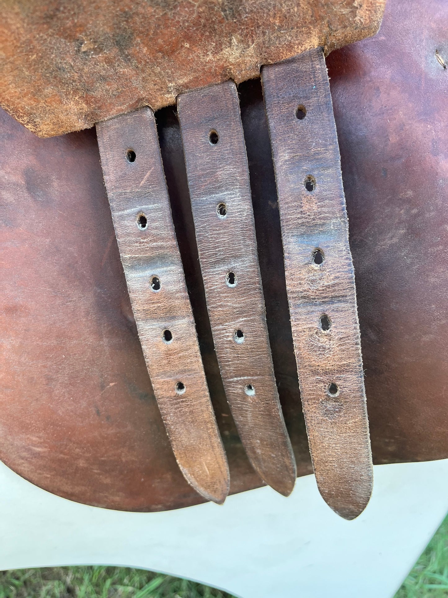 Collegiate Close Contact Saddle